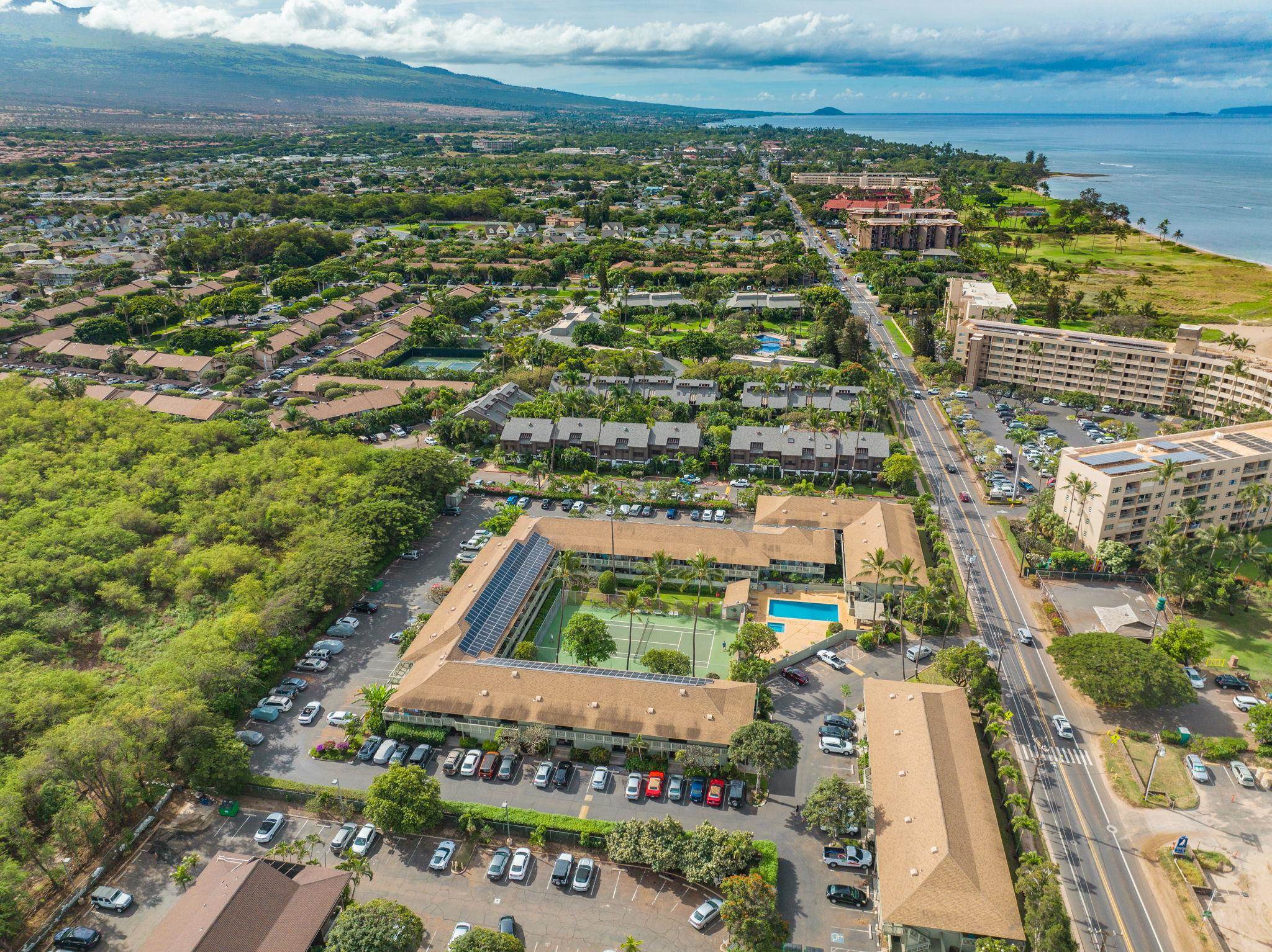 Kihei Bay Surf condo # 127, Kihei, Hawaii - photo 33 of 34