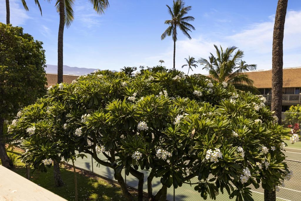 Kihei Bay Surf condo # B212, Kihei, Hawaii - photo 10 of 38