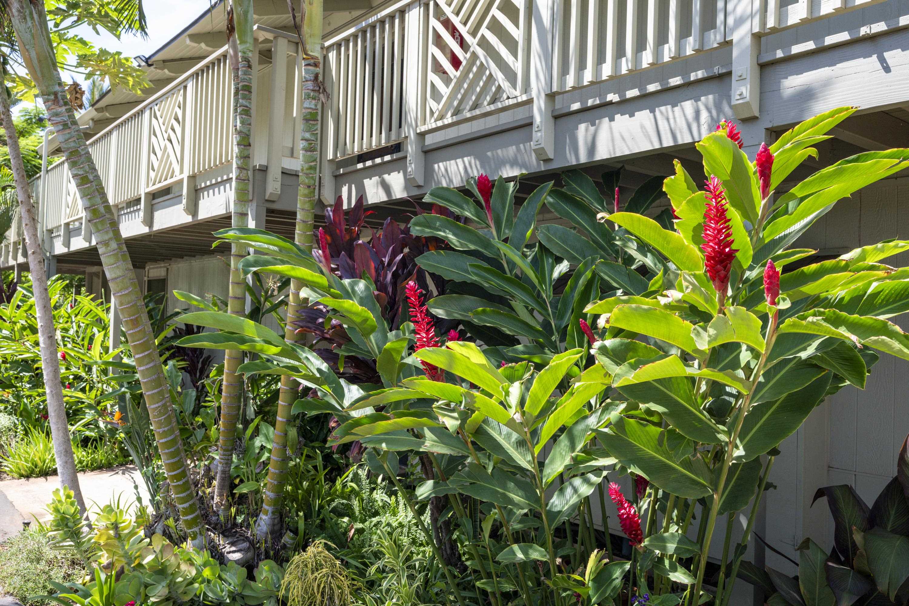 Kihei Bay Surf condo # C227, Kihei, Hawaii - photo 21 of 24