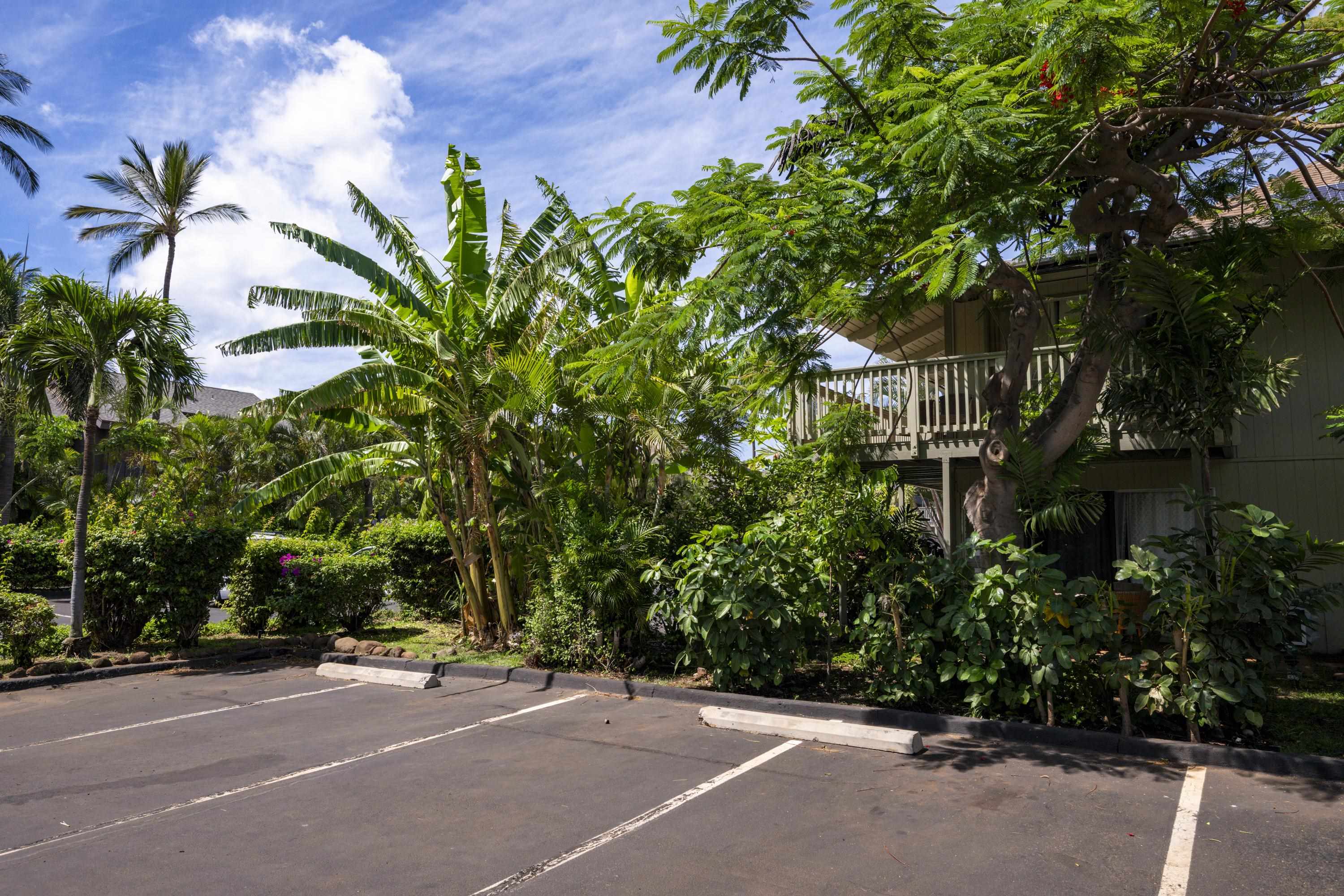 Kihei Bay Surf condo # C227, Kihei, Hawaii - photo 23 of 24