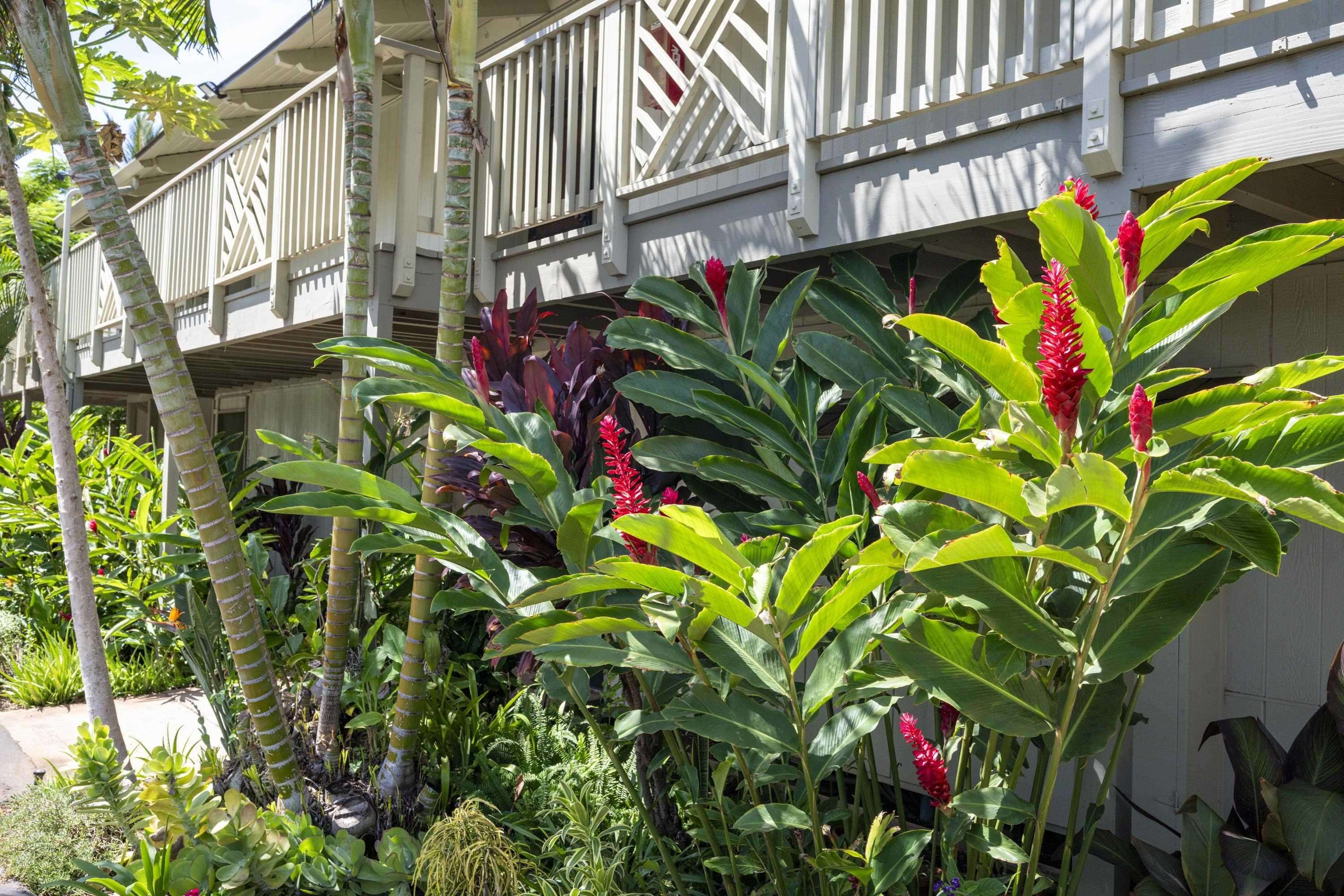 Kihei Bay Surf condo # C227, Kihei, Hawaii - photo 19 of 20