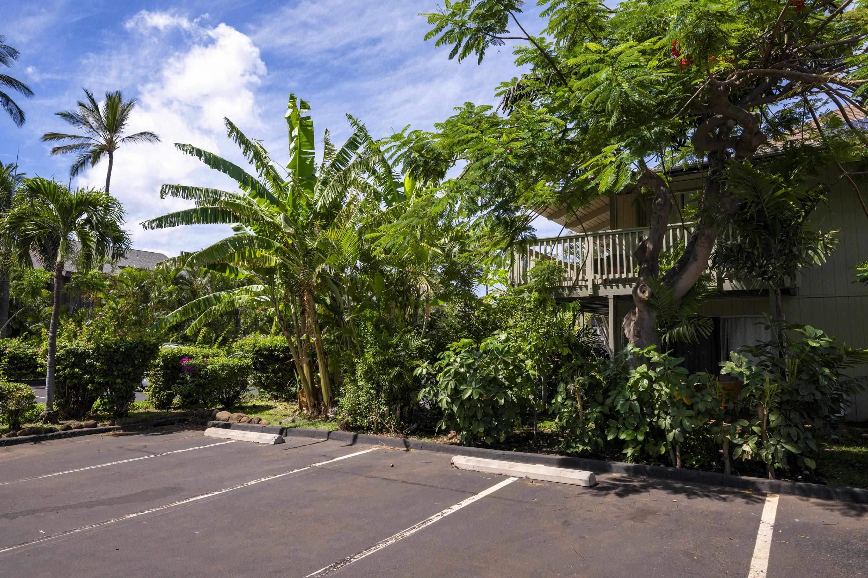 Kihei Bay Surf condo # C227, Kihei, Hawaii - photo 20 of 20