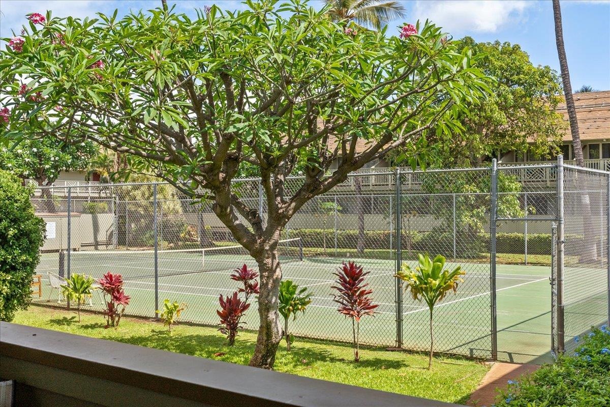 Kihei Bay Surf condo # D135, Kihei, Hawaii - photo 39 of 50