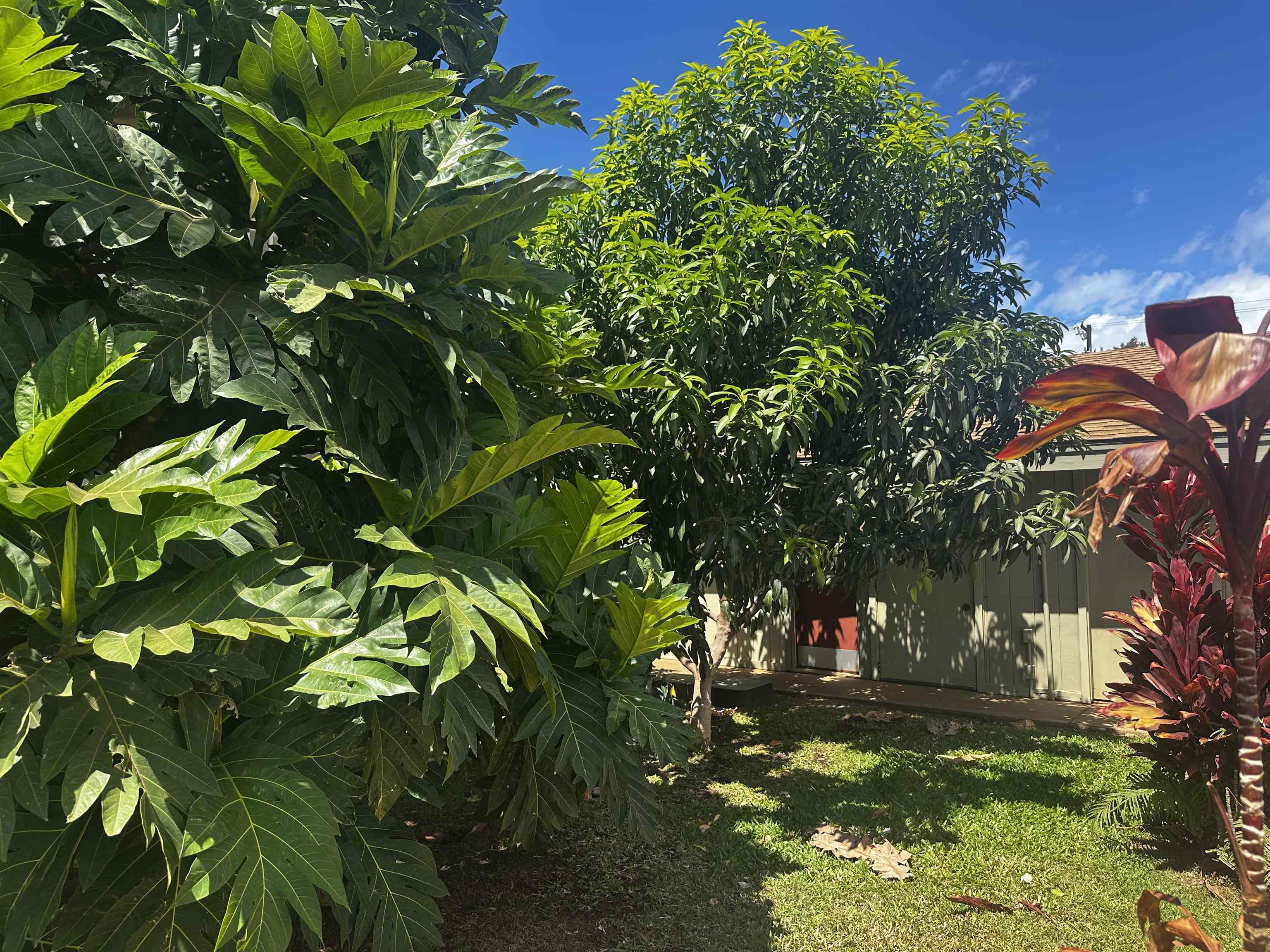 Kihei Bay Surf condo # D143, Kihei, Hawaii - photo 22 of 23