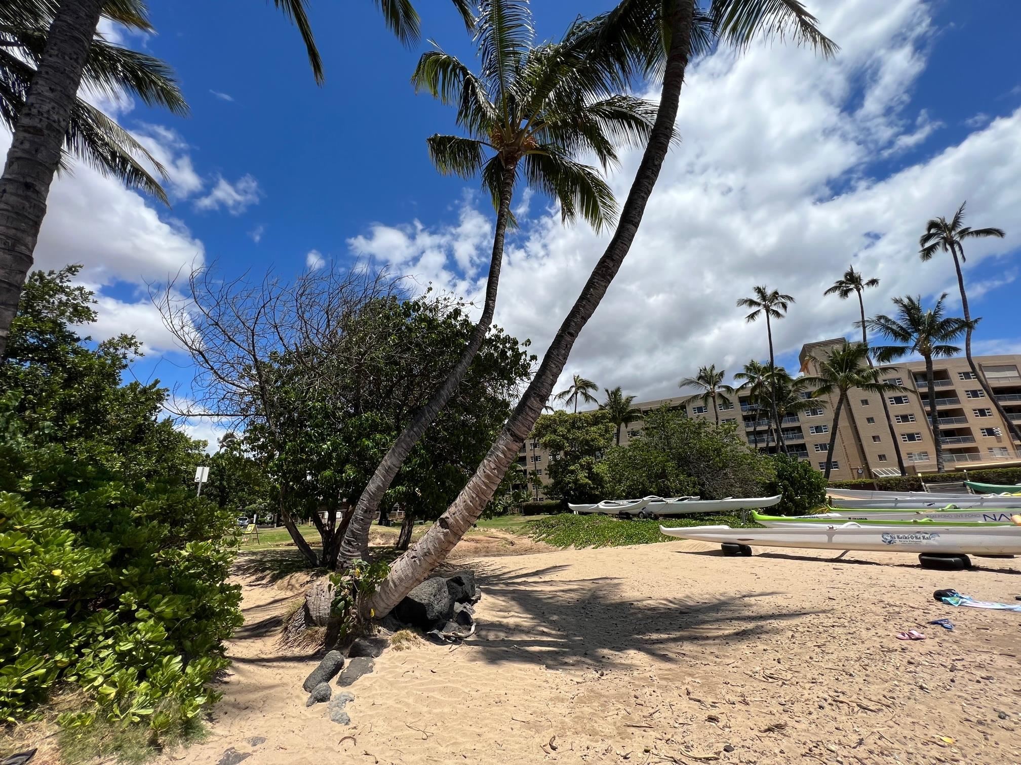 Kihei Bay Surf condo # D144, Kihei, Hawaii - photo 49 of 50