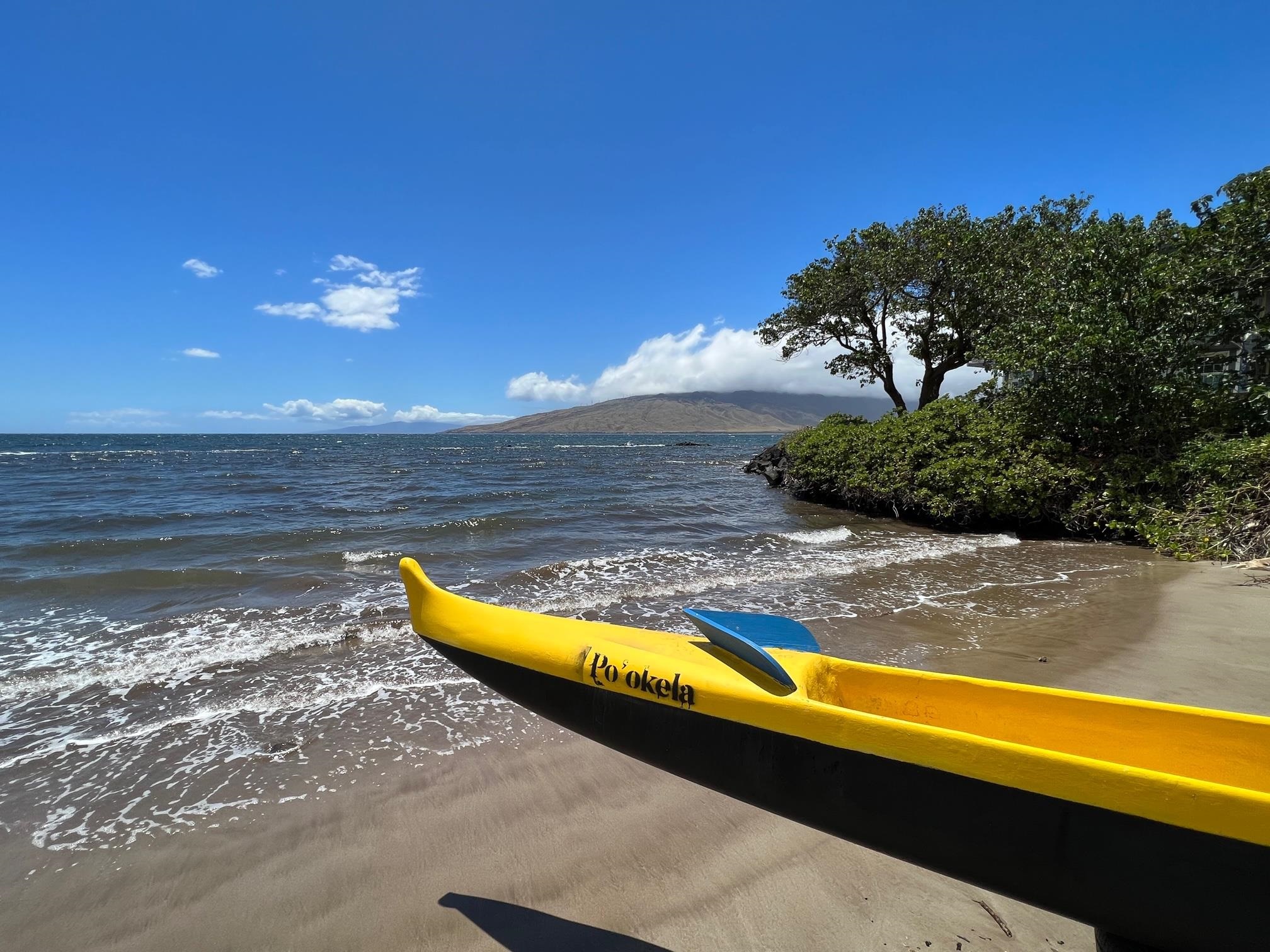 Kihei Bay Surf condo # D144, Kihei, Hawaii - photo 6 of 50