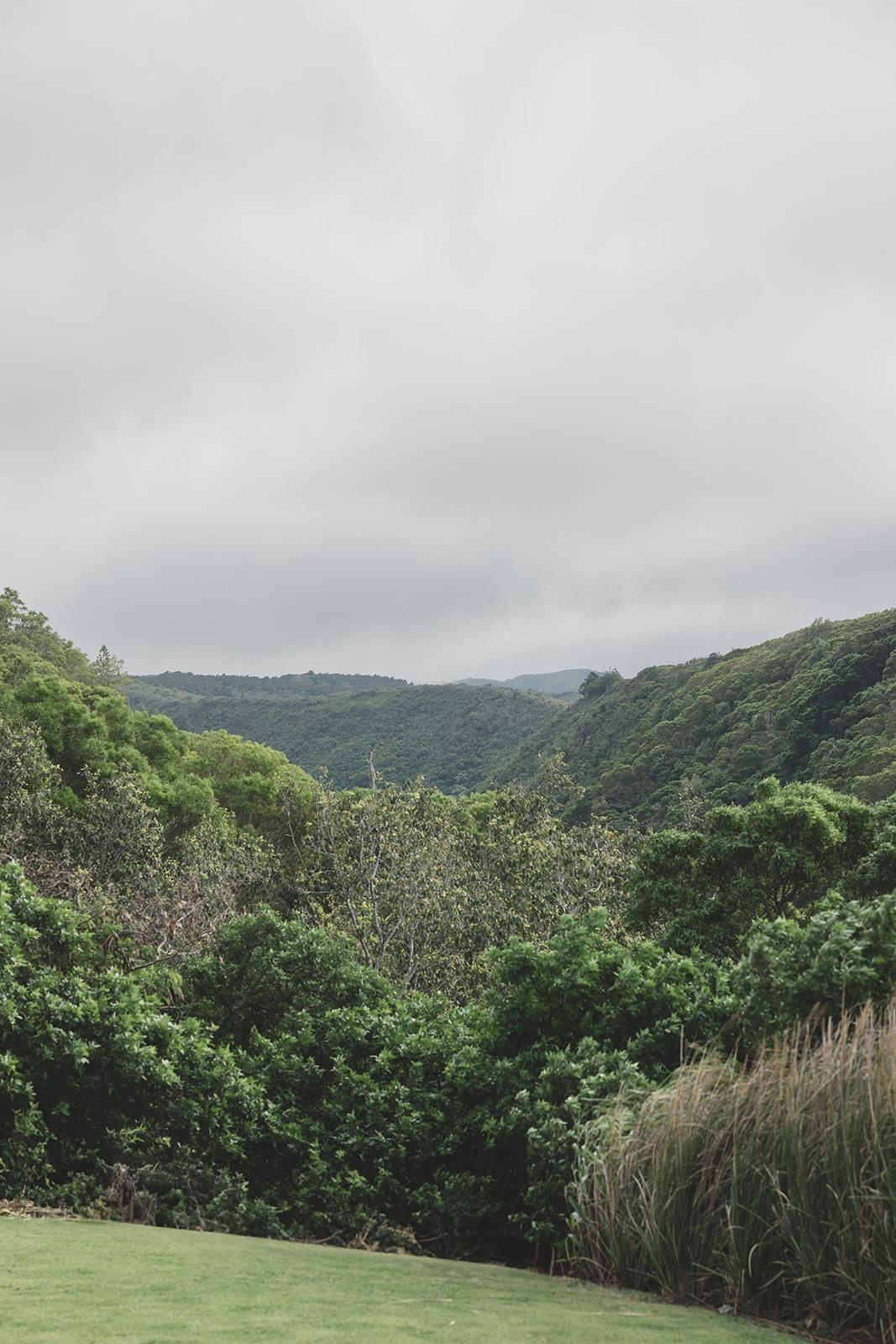 715  Laulama Pl Kapalua, Kapalua home - photo 38 of 48