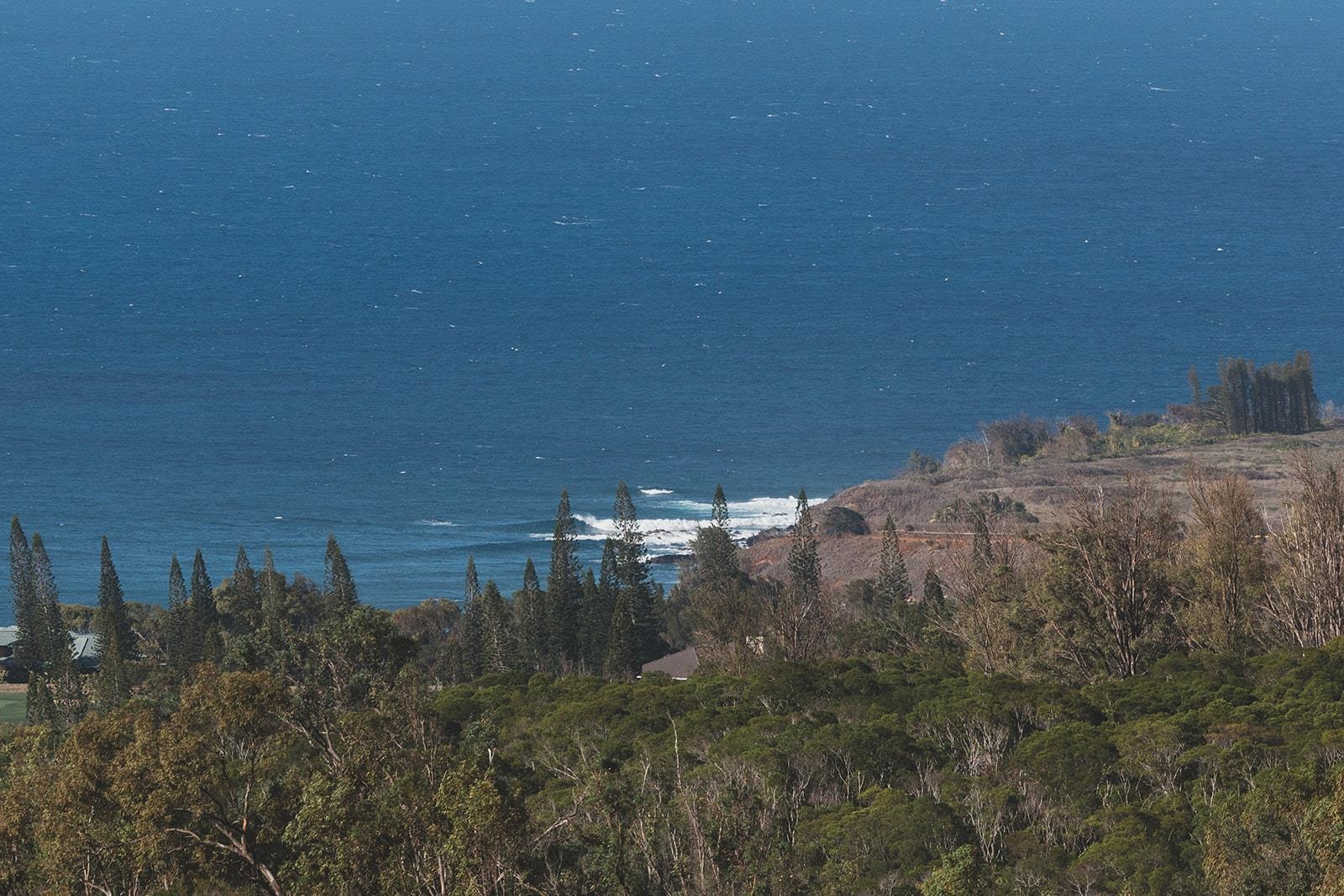 715  Laulama Pl Kapalua, Kapalua home - photo 48 of 48