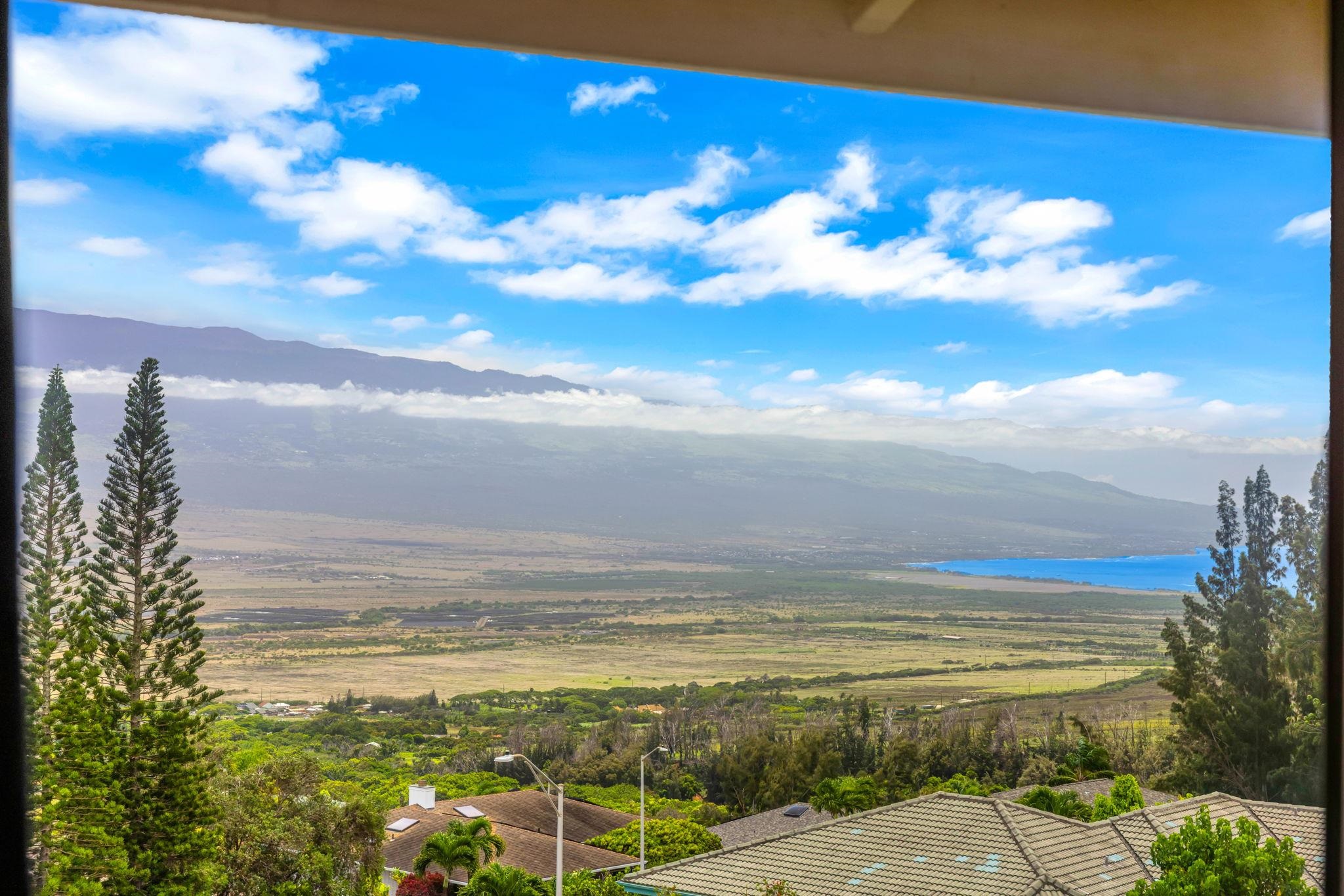 715  Uluhea Way Wailuku Heights, Wailuku home - photo 19 of 50