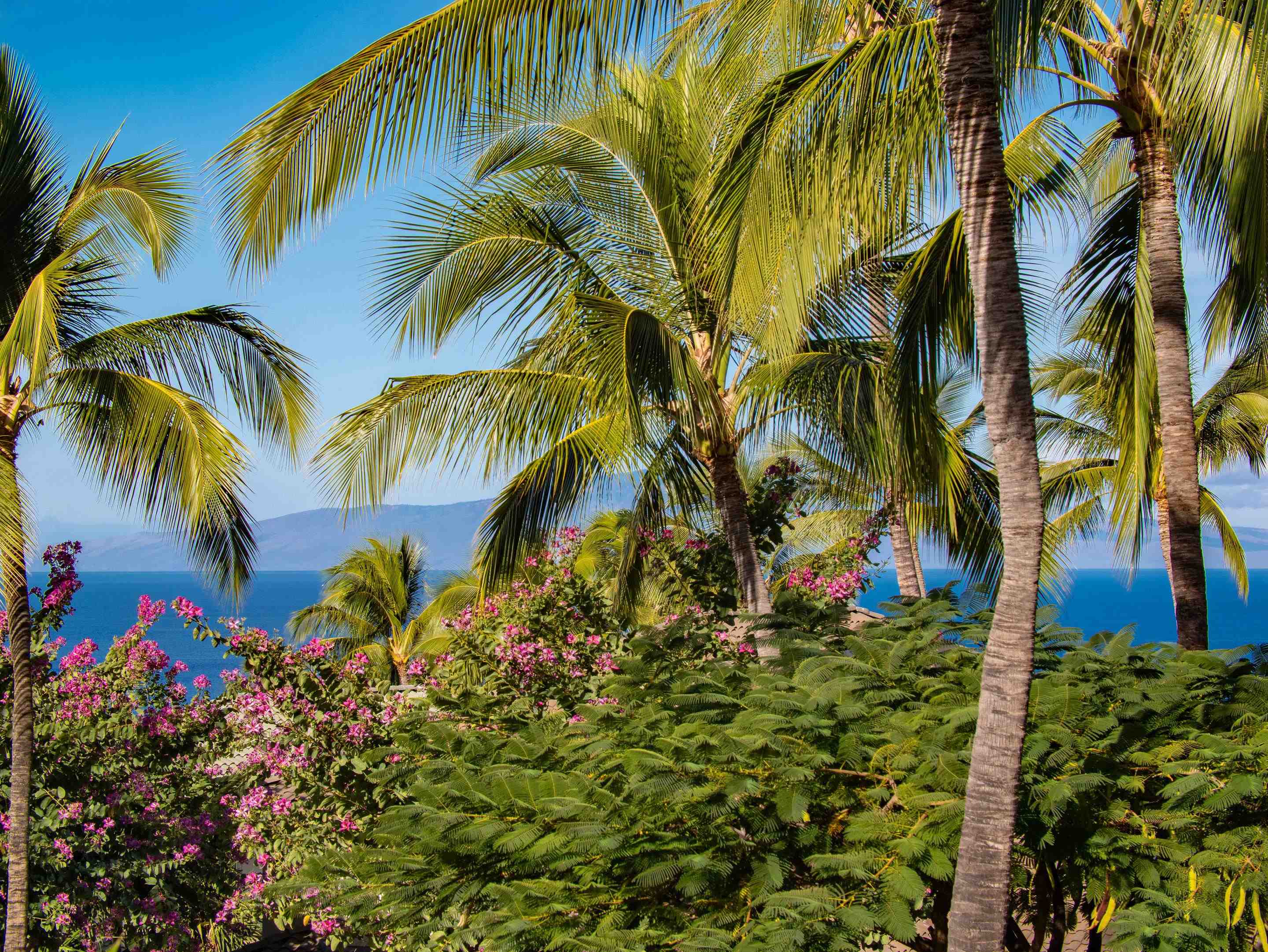 Kai Malu condo # 70A, Kihei, Hawaii - photo 12 of 50