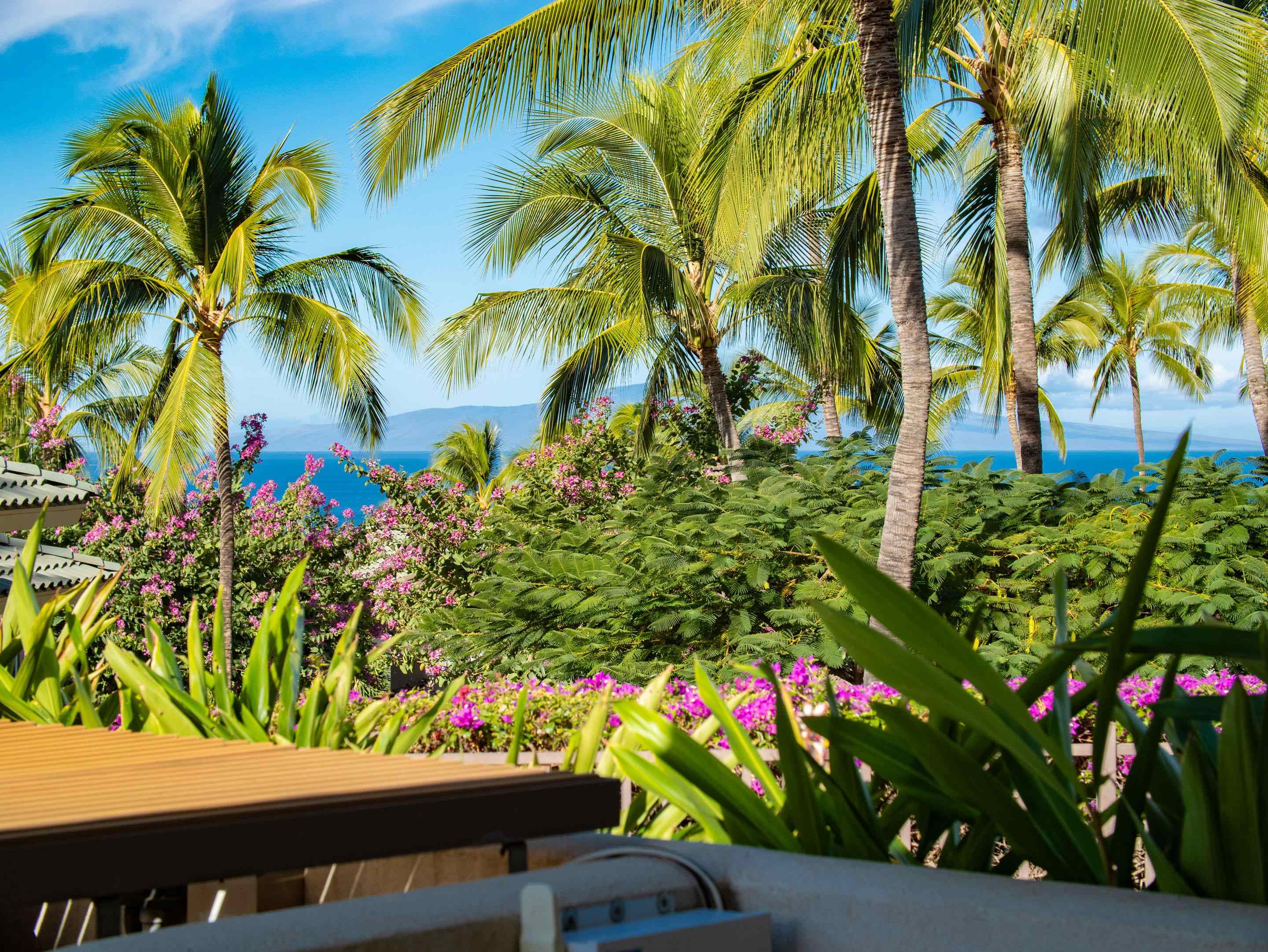 Kai Malu condo # 70A, Kihei, Hawaii - photo 19 of 50