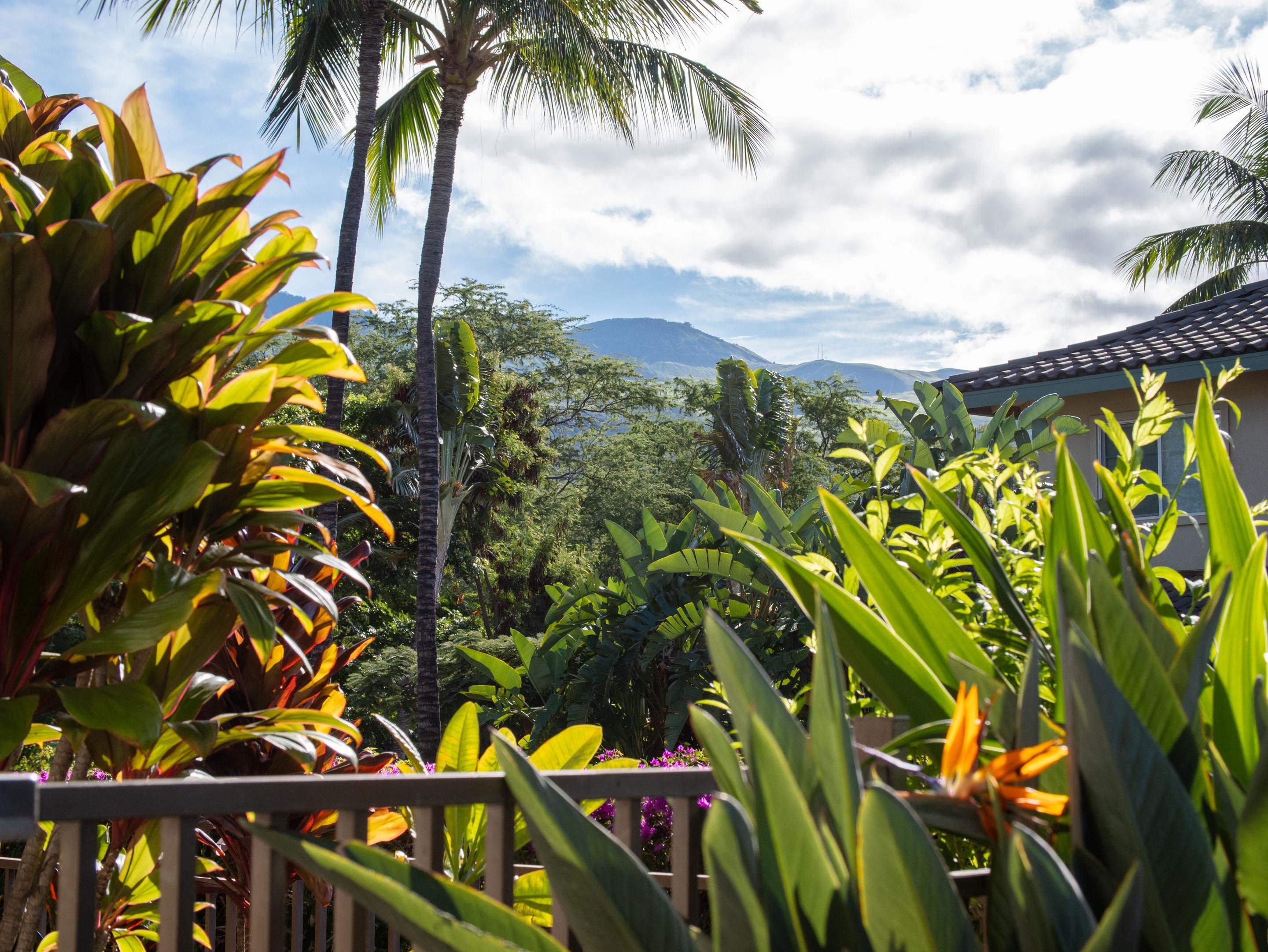 Kai Malu condo # 70A, Kihei, Hawaii - photo 46 of 50