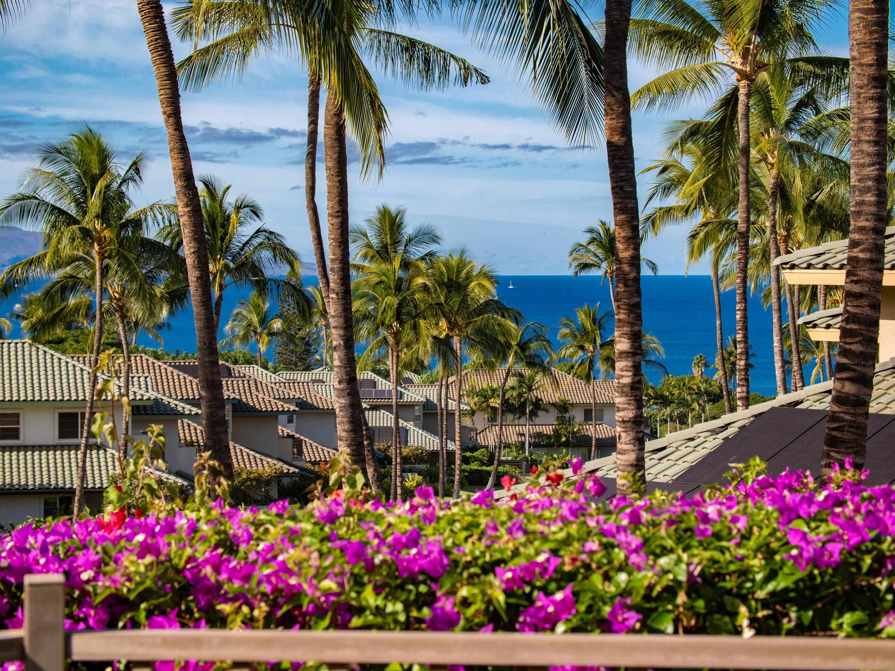 Kai Malu condo # 70A, Kihei, Hawaii - photo 47 of 50