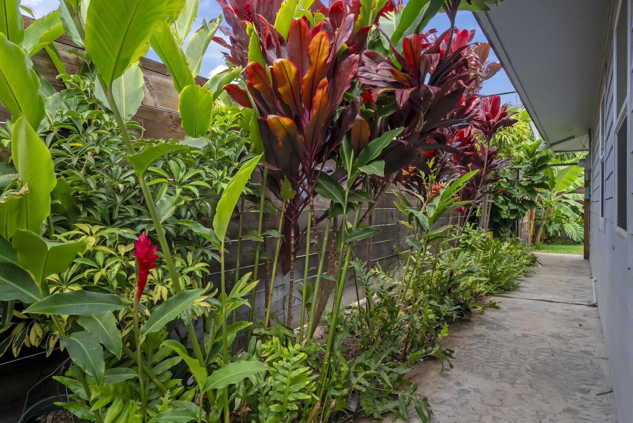 72  Kupuna St , Kihei home - photo 33 of 47