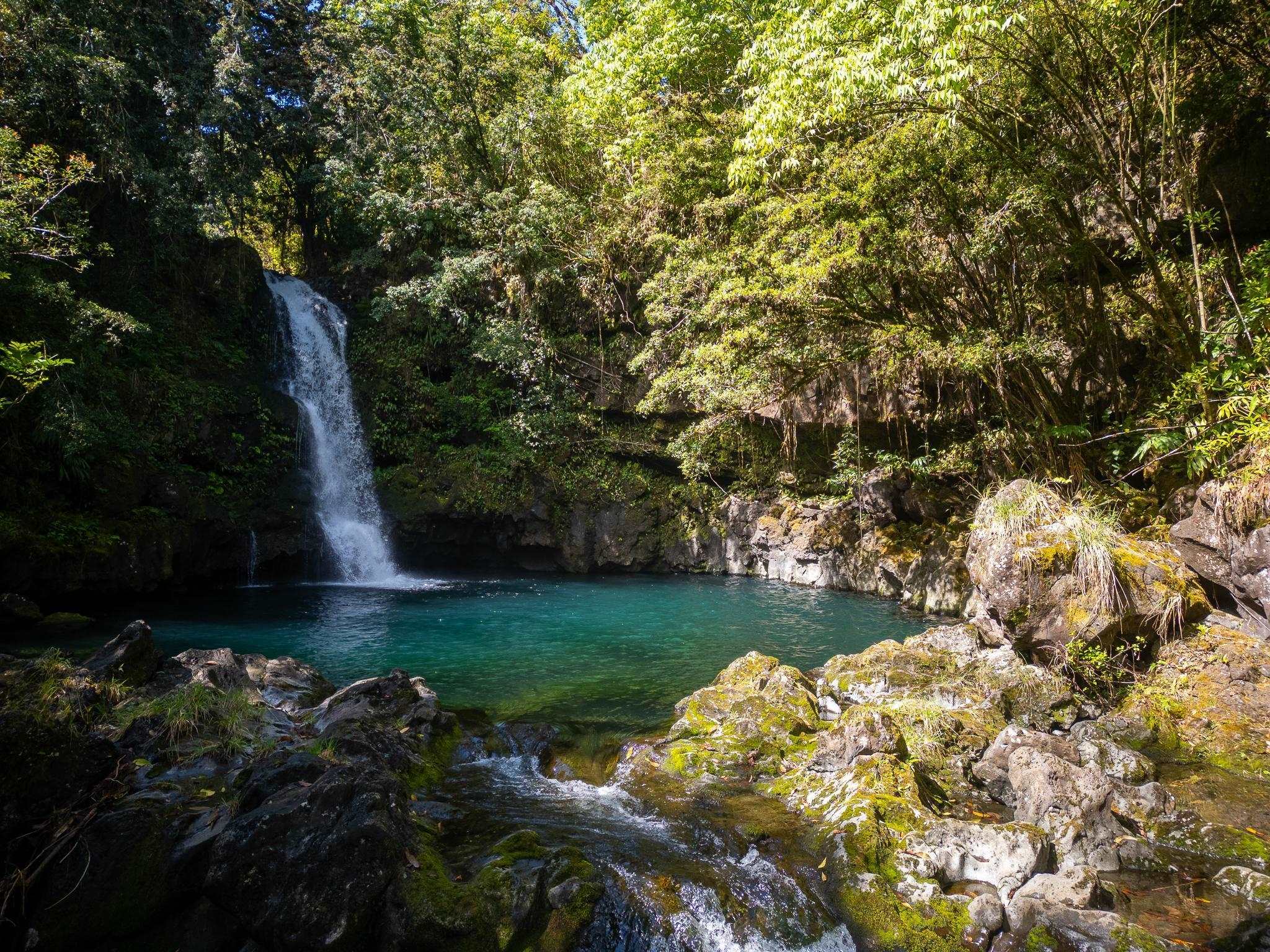725  Nahiku Rd Lower Nahiku,  home - photo 1 of 31