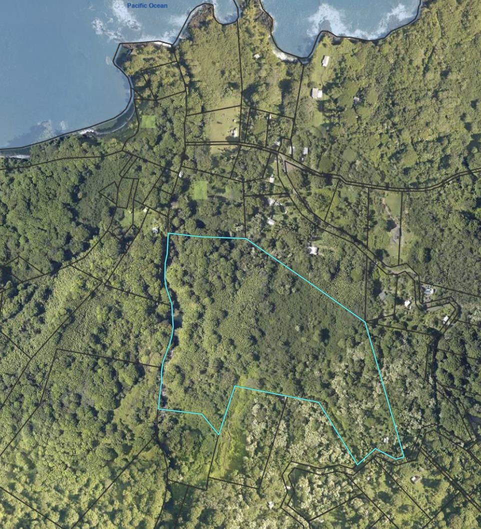 725  Nahiku Rd Lower Nahiku, Nahiku home - photo 2 of 28