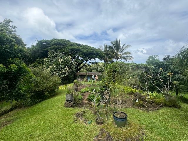 725  Nahiku Rd Lower Nahiku, Nahiku home - photo 11 of 31