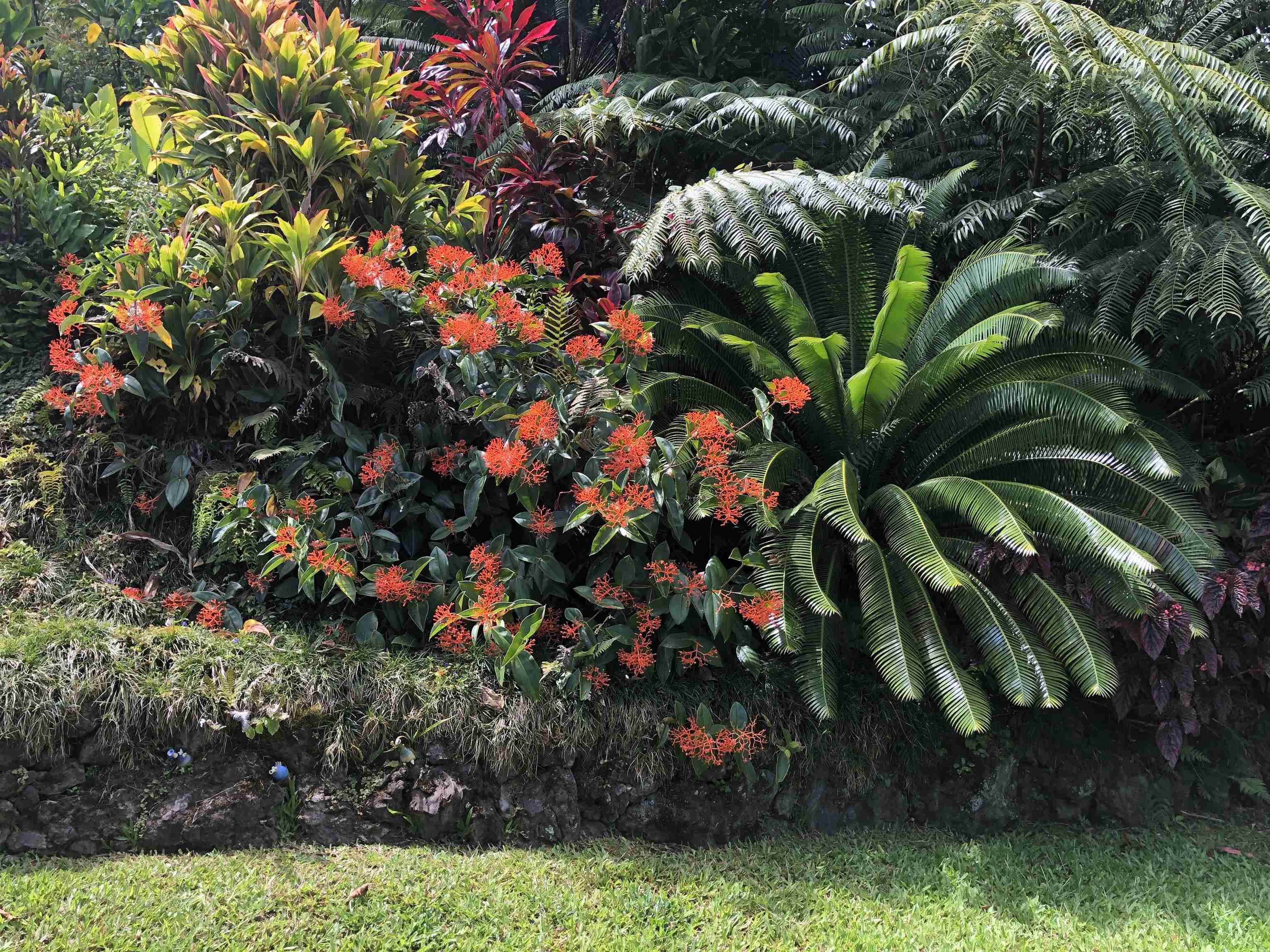 725  Nahiku Rd Lower Nahiku, Nahiku home - photo 13 of 31