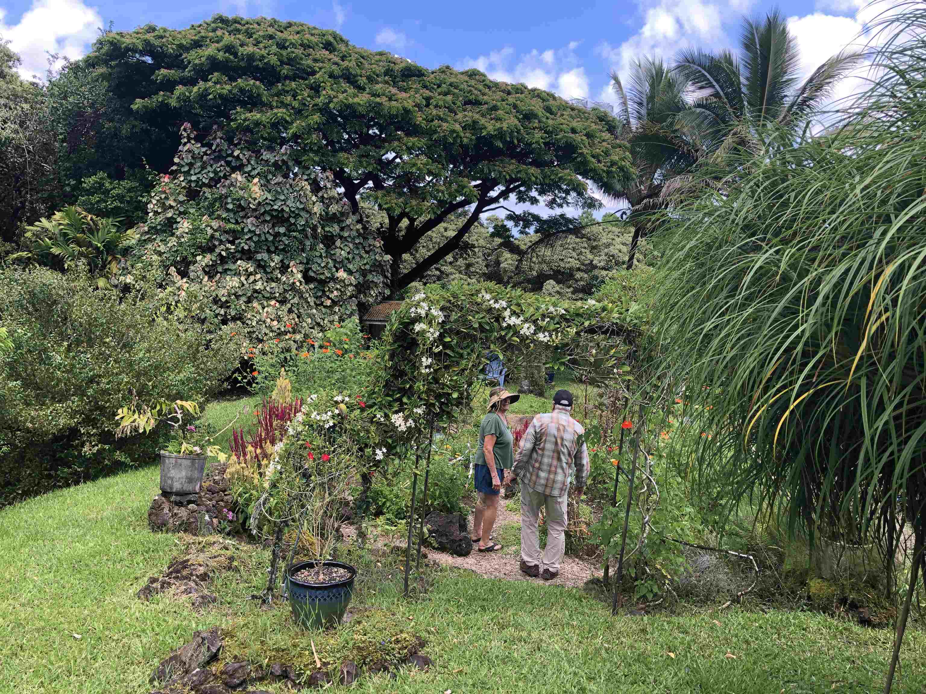 725  Nahiku Rd Lower Nahiku, Nahiku home - photo 15 of 31