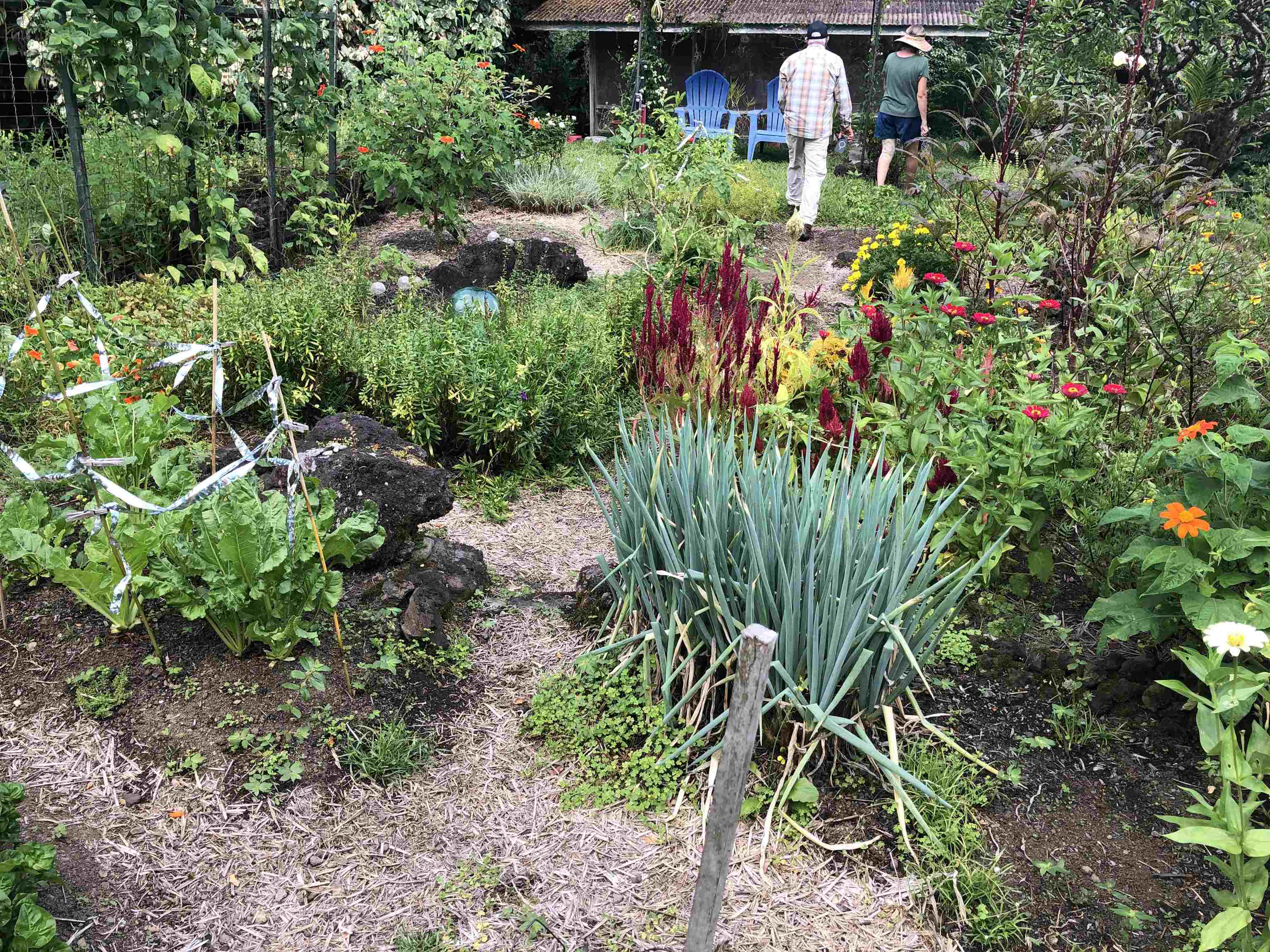 725  Nahiku Rd Lower Nahiku, Nahiku home - photo 16 of 31