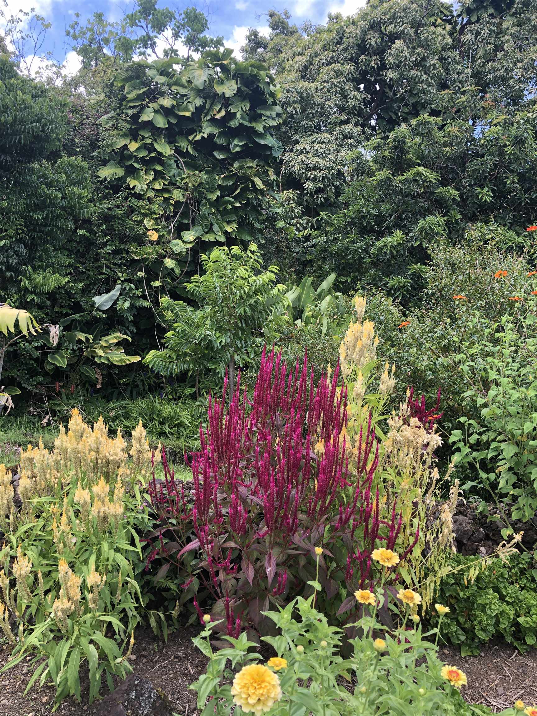 725  Nahiku Rd Lower Nahiku, Nahiku home - photo 20 of 31