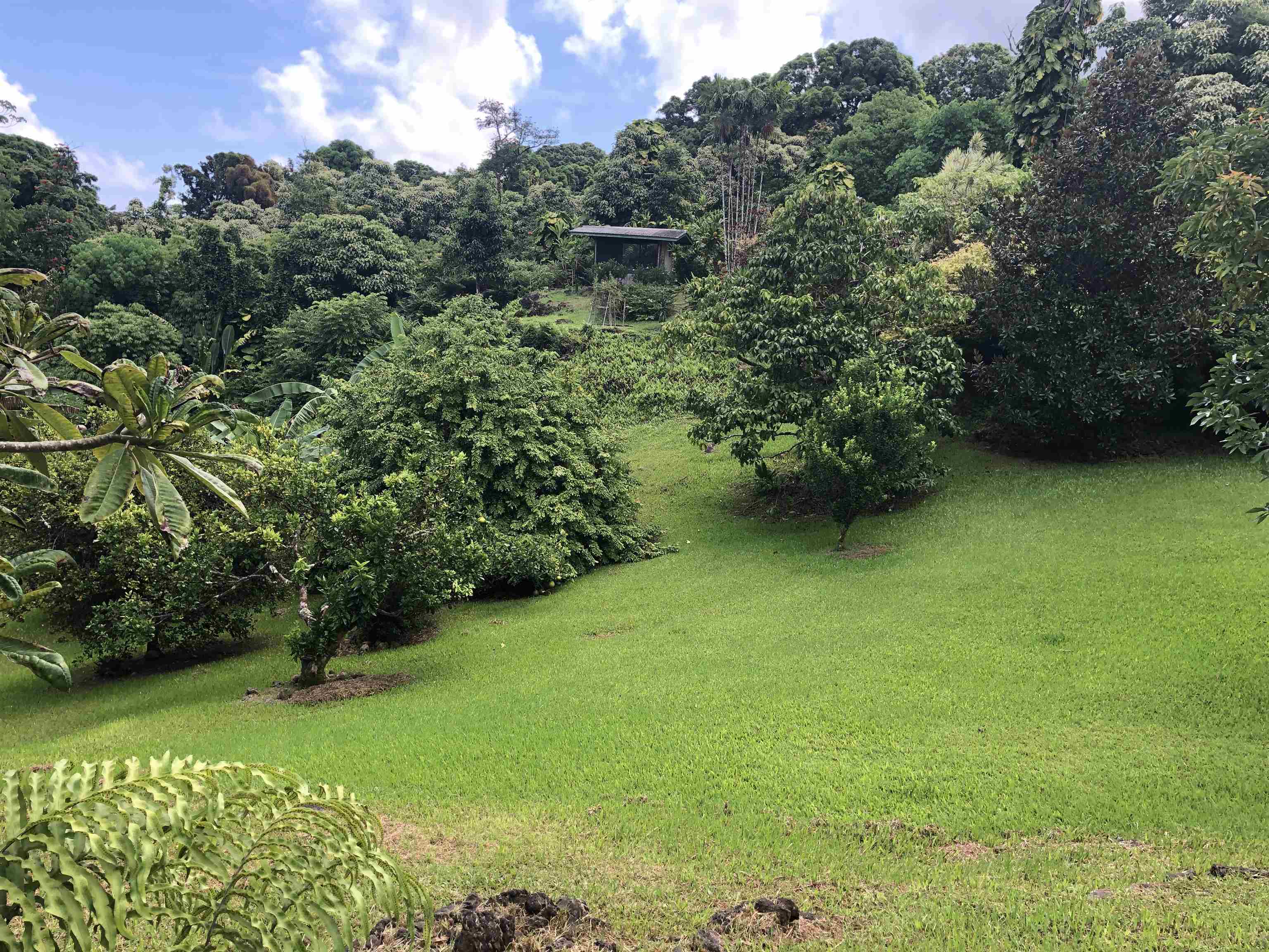 725  Nahiku Rd Lower Nahiku, Nahiku home - photo 3 of 28