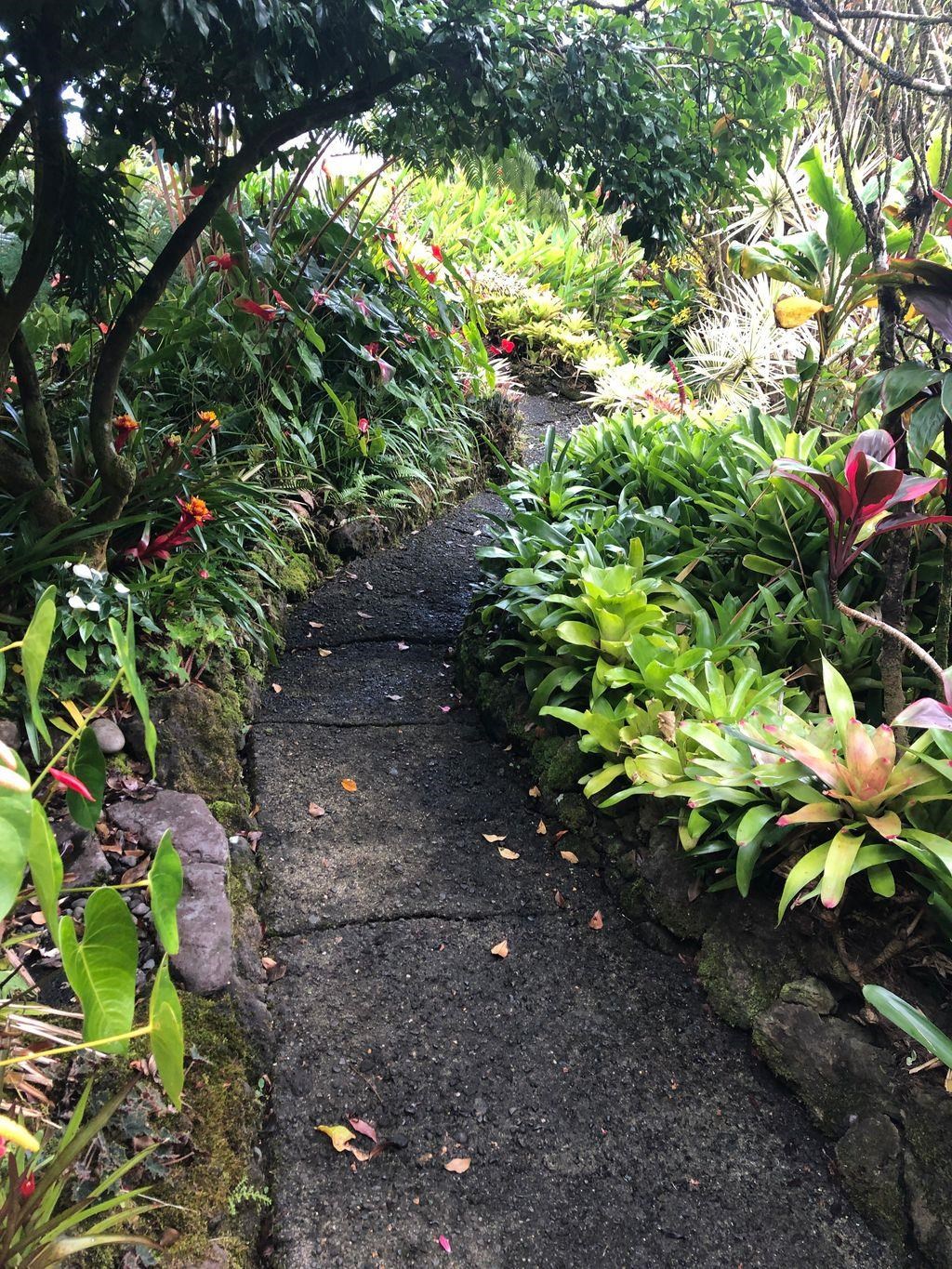 725  Nahiku Rd Lower Nahiku, Nahiku home - photo 3 of 31