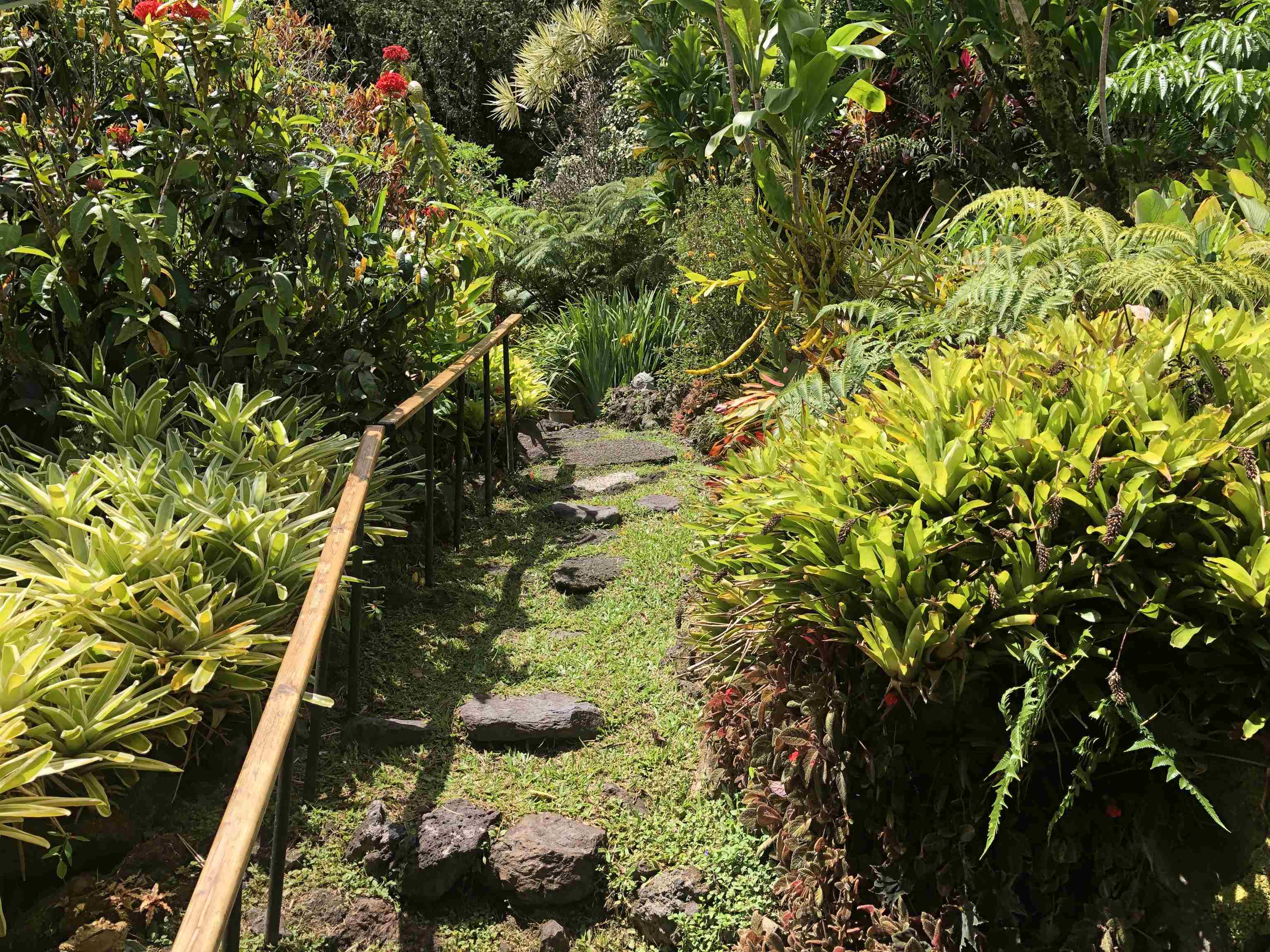 725  Nahiku Rd Lower Nahiku, Nahiku home - photo 23 of 28