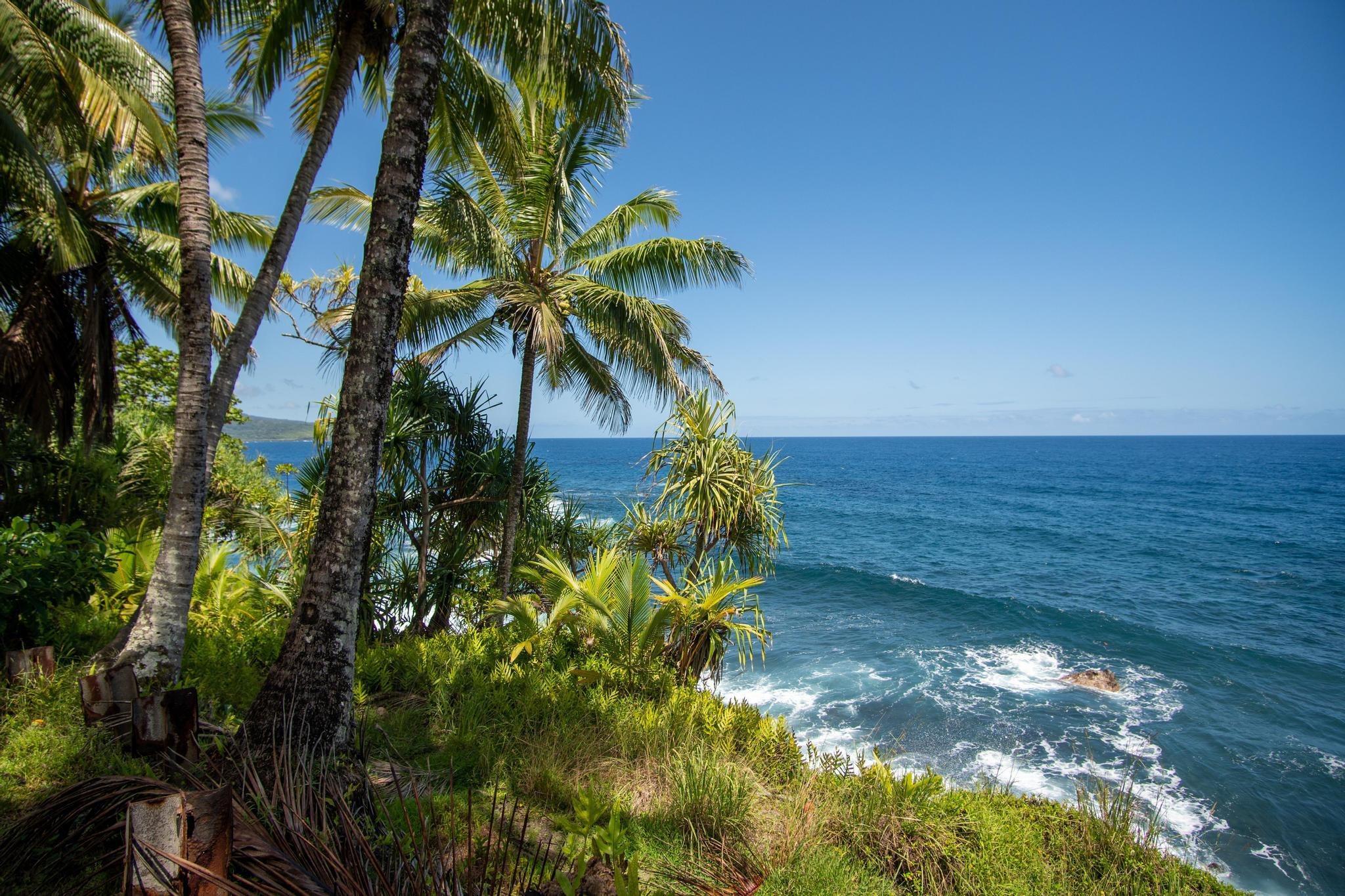 725  Nahiku Rd Lower Nahiku, Nahiku home - photo 24 of 31