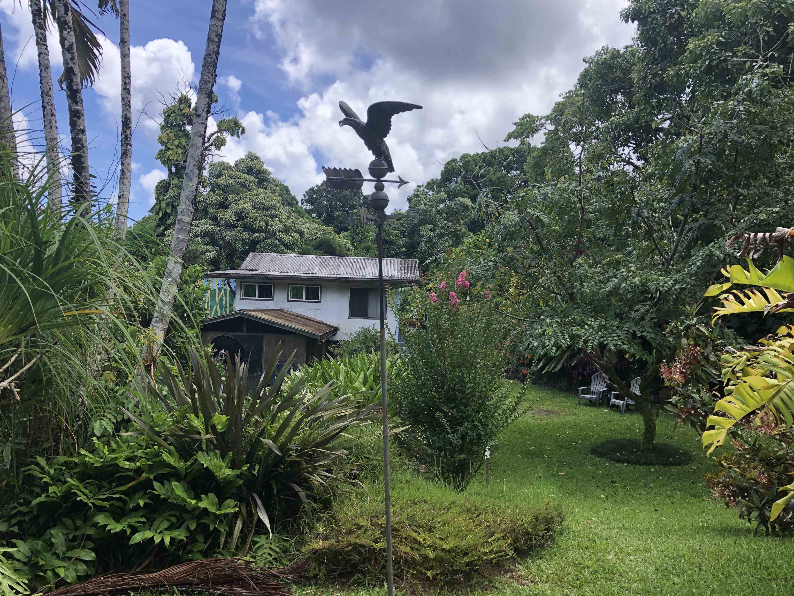 725  Nahiku Rd Lower Nahiku, Nahiku home - photo 26 of 28