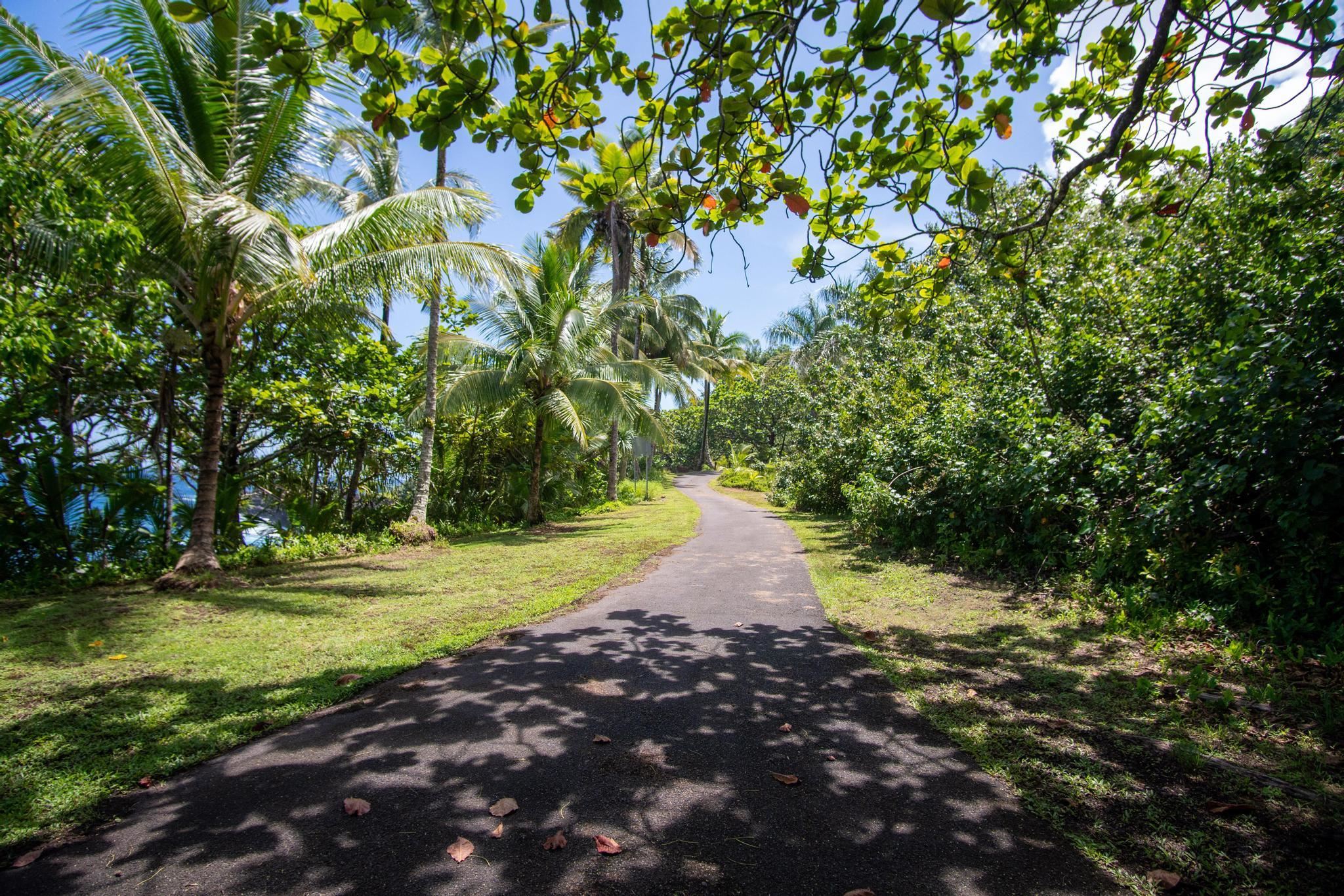 725  Nahiku Rd Lower Nahiku, Nahiku home - photo 27 of 31