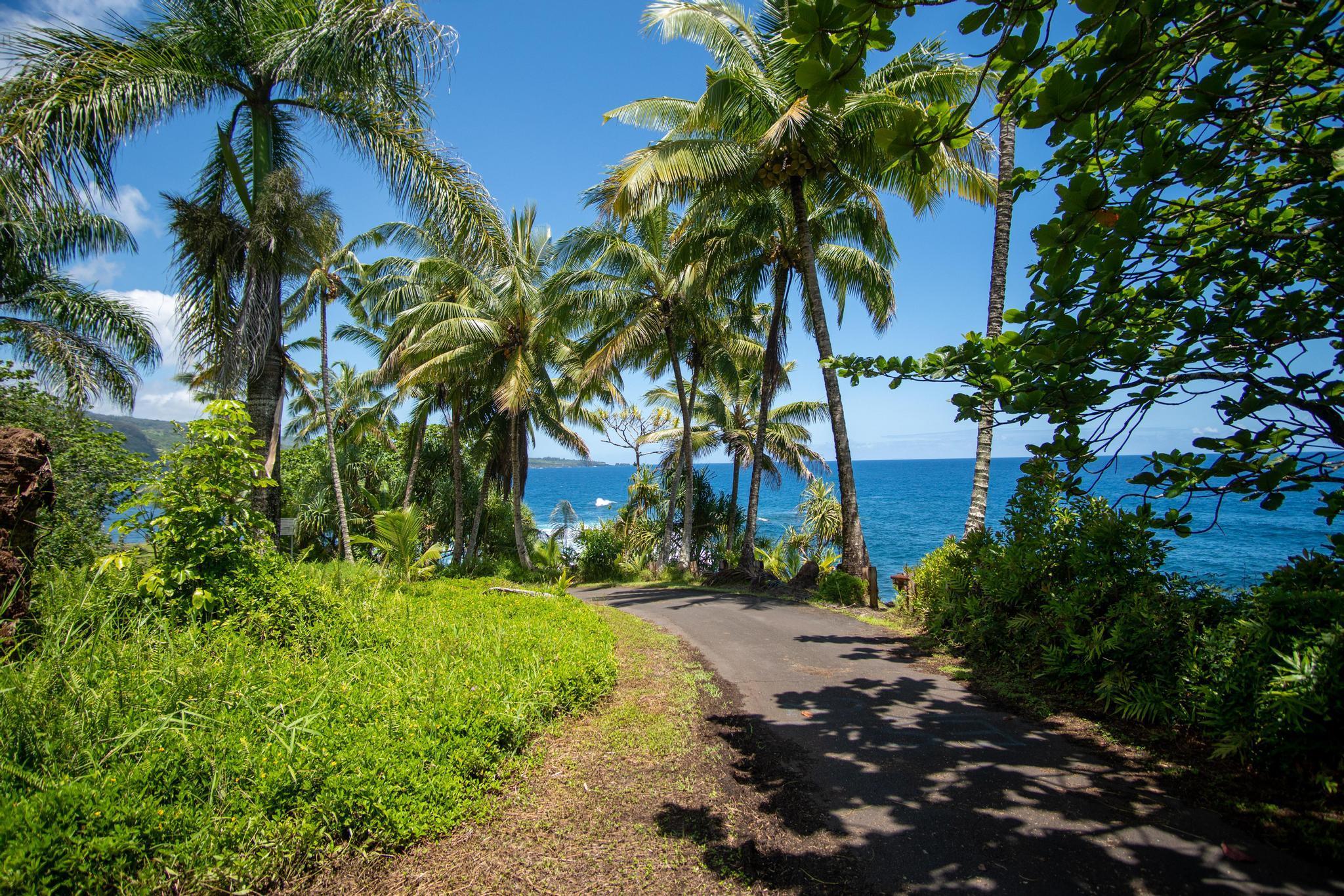 725  Nahiku Rd Lower Nahiku, Nahiku home - photo 28 of 31