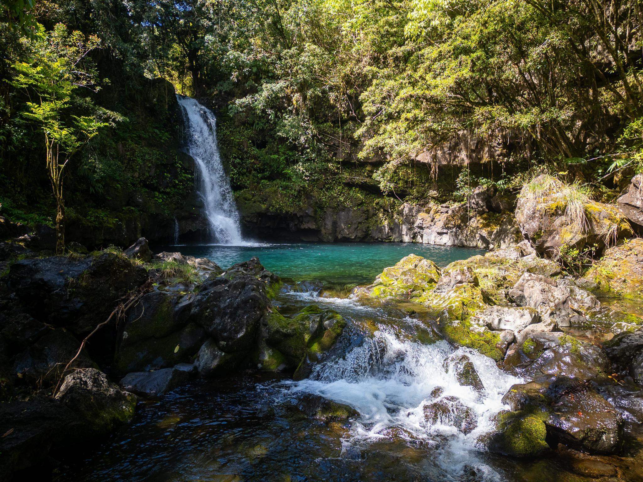 725  Nahiku Rd Lower Nahiku, Nahiku home - photo 31 of 31