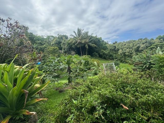 725  Nahiku Rd Lower Nahiku, Nahiku home - photo 5 of 28