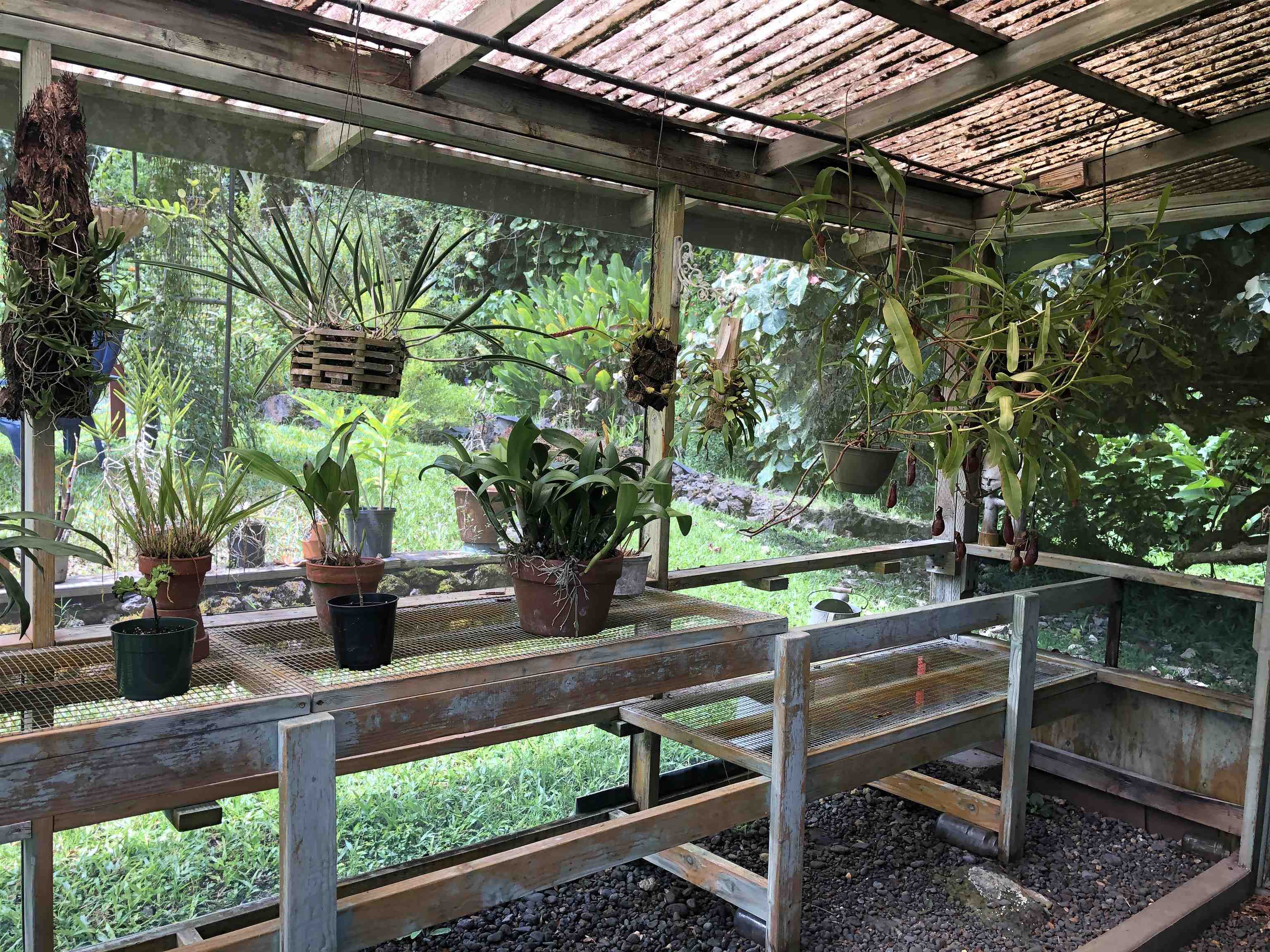 725  Nahiku Rd Lower Nahiku, Nahiku home - photo 8 of 31