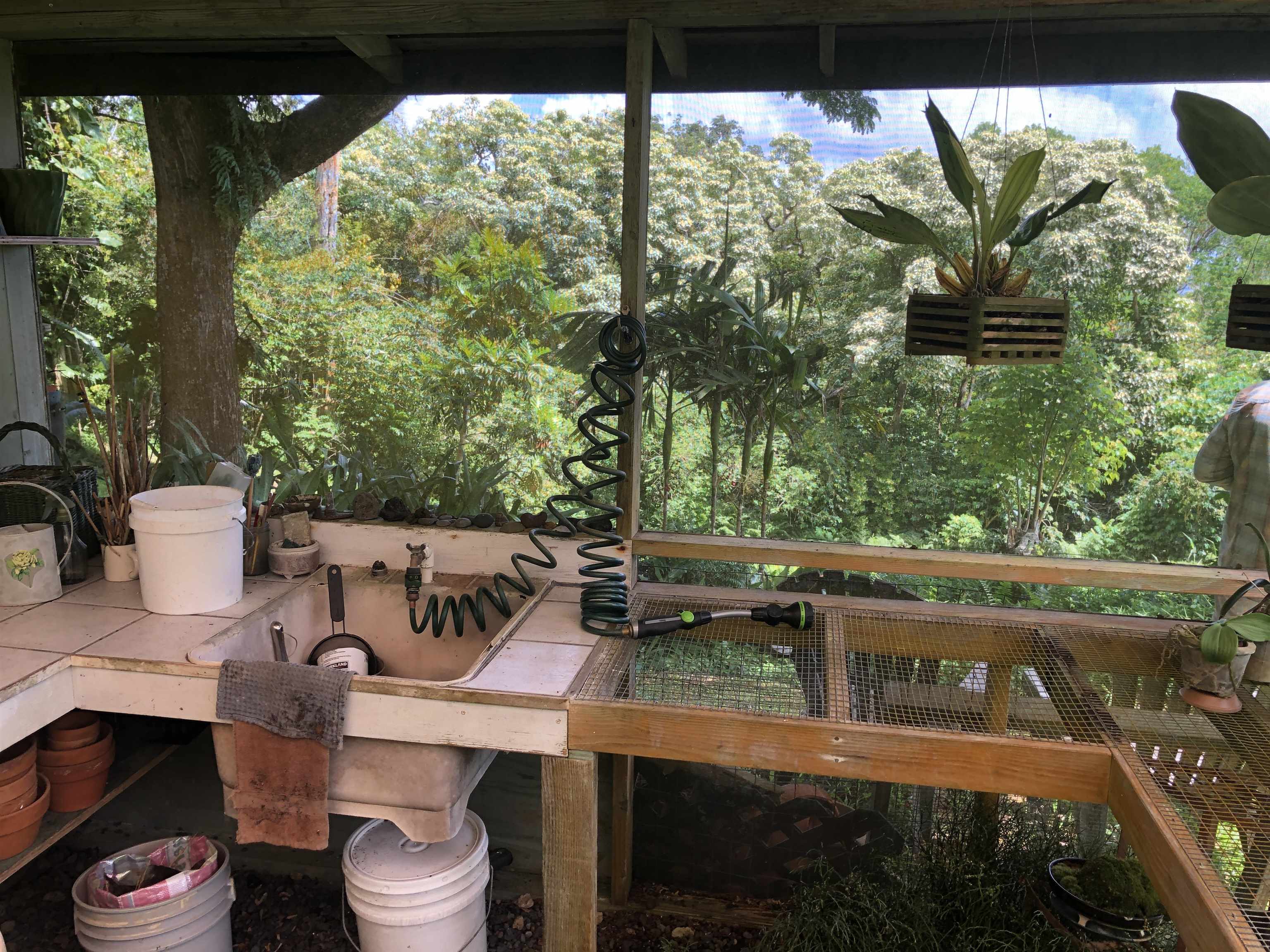 725  Nahiku Rd Lower Nahiku, Nahiku home - photo 10 of 31