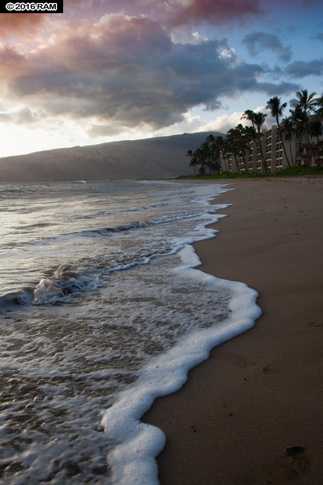 Nani Kai Hale condo # 101, Kihei, Hawaii - photo 12 of 22