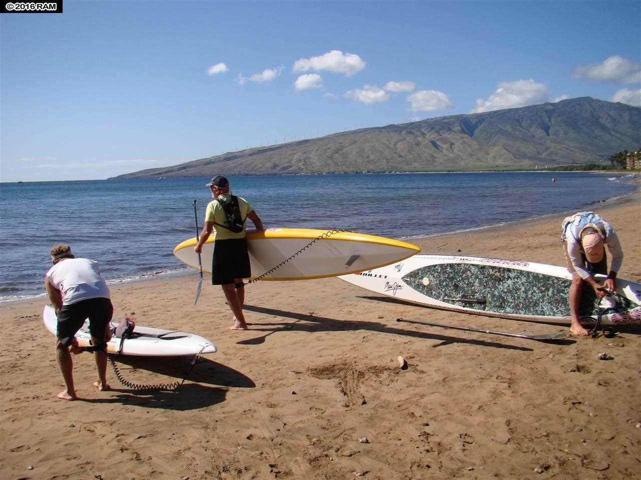 Nani Kai Hale condo # 101, Kihei, Hawaii - photo 19 of 22