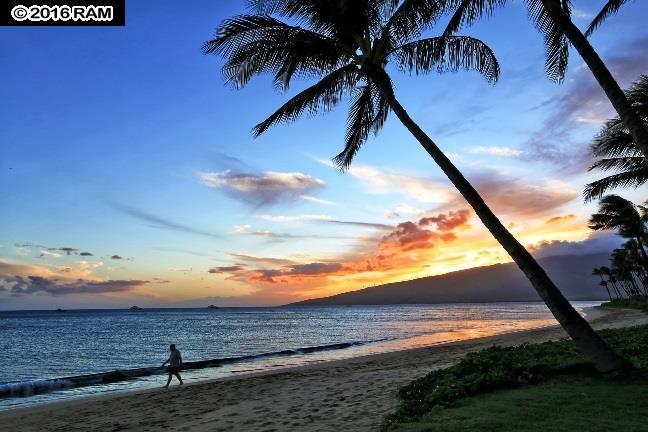 Nani Kai Hale condo # 101, Kihei, Hawaii - photo 9 of 22