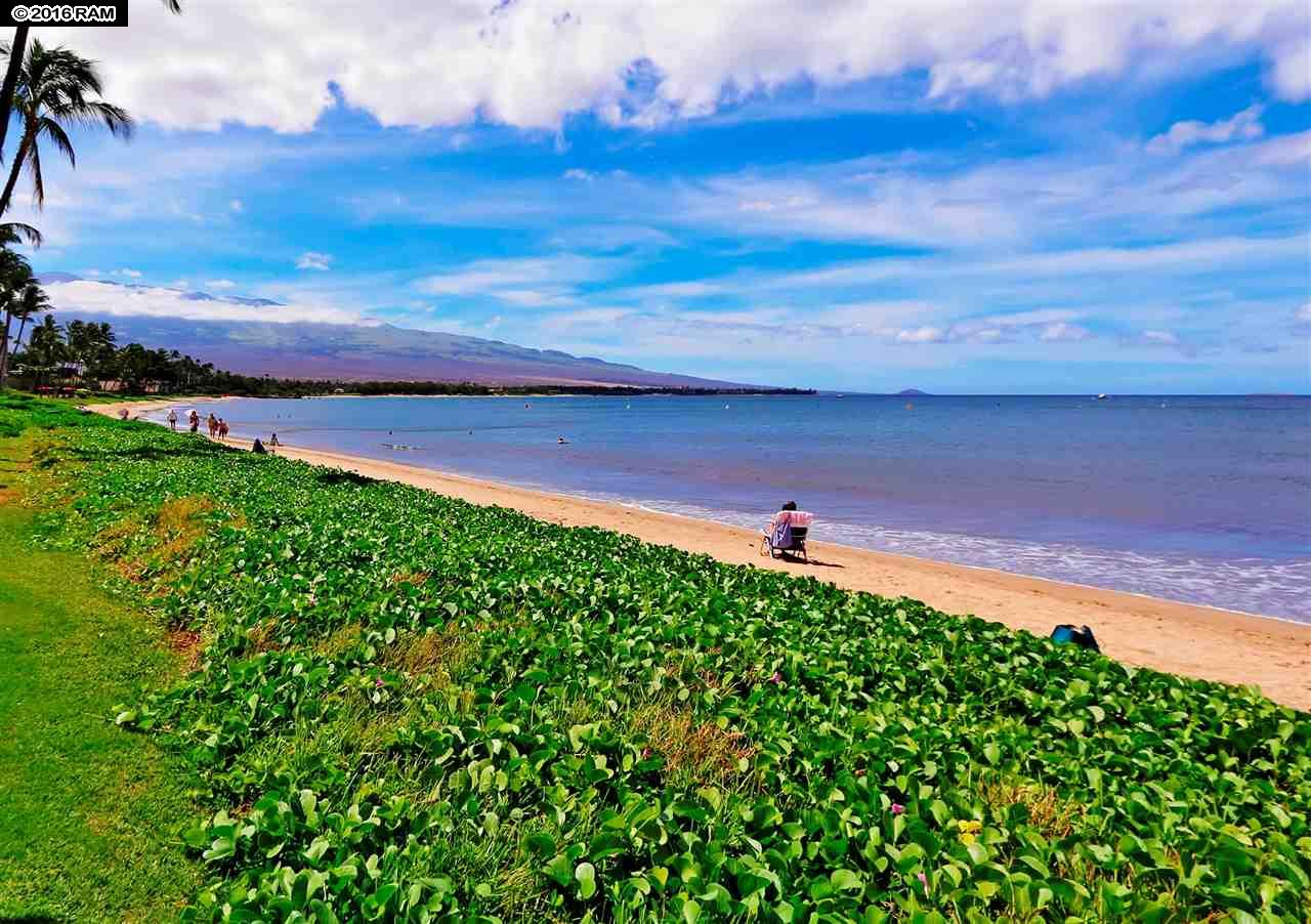 Nani Kai Hale condo # 101, Kihei, Hawaii - photo 10 of 22