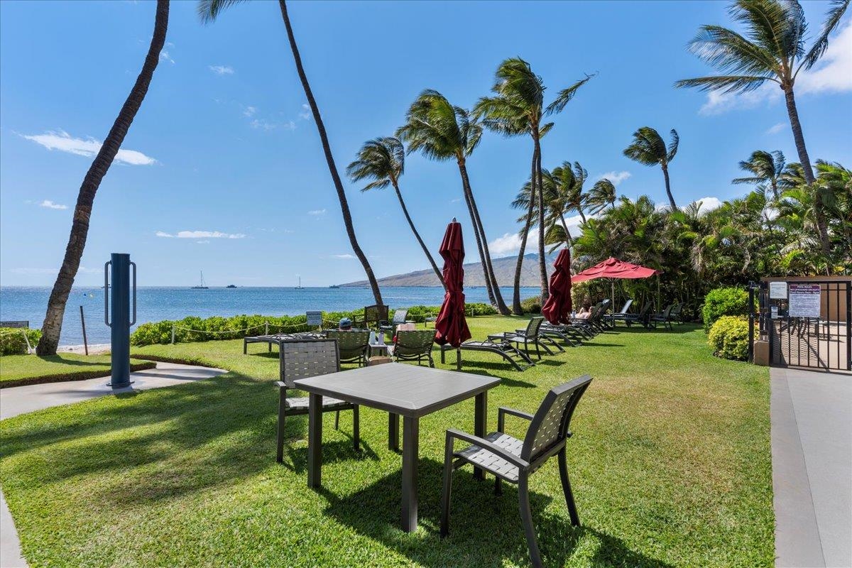 Nani Kai Hale condo # 203, Kihei, Hawaii - photo 28 of 41