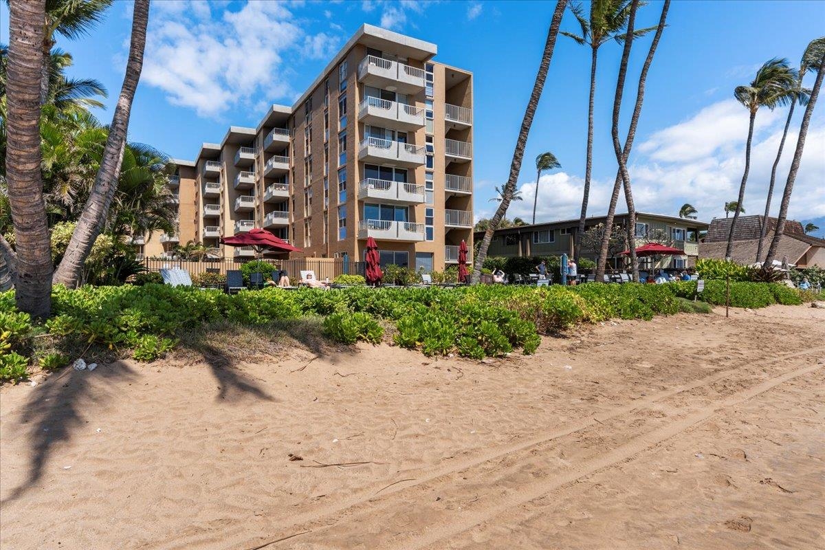 Nani Kai Hale condo # 203, Kihei, Hawaii - photo 33 of 41