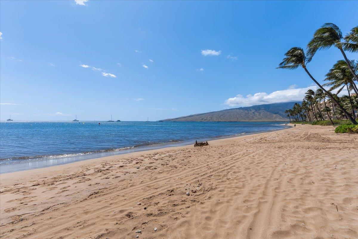 Nani Kai Hale condo # 203, Kihei, Hawaii - photo 35 of 41