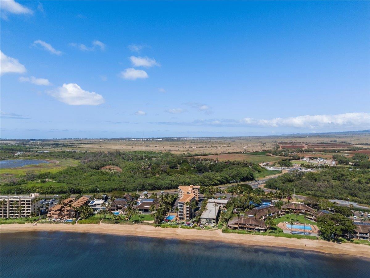 Nani Kai Hale condo # 203, Kihei, Hawaii - photo 39 of 41