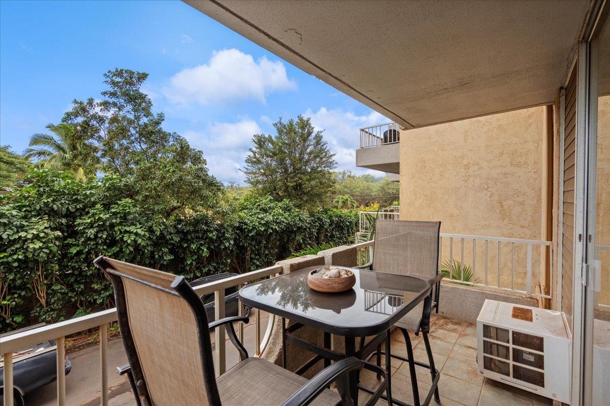 Nani Kai Hale condo # 204, Kihei, Hawaii - photo 19 of 30