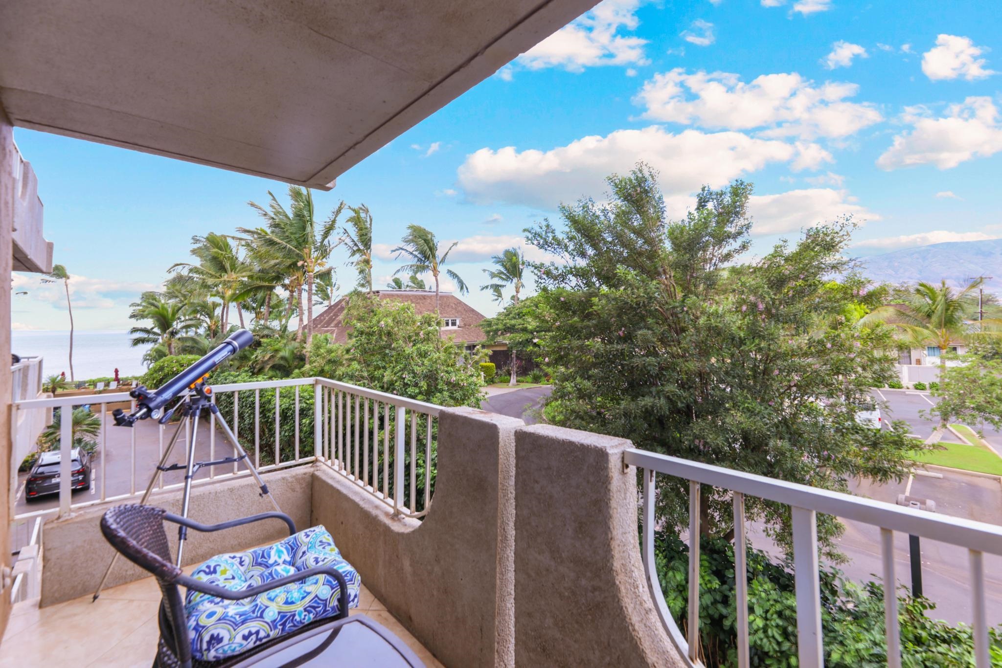 Nani Kai Hale condo # 302, Kihei, Hawaii - photo 28 of 38