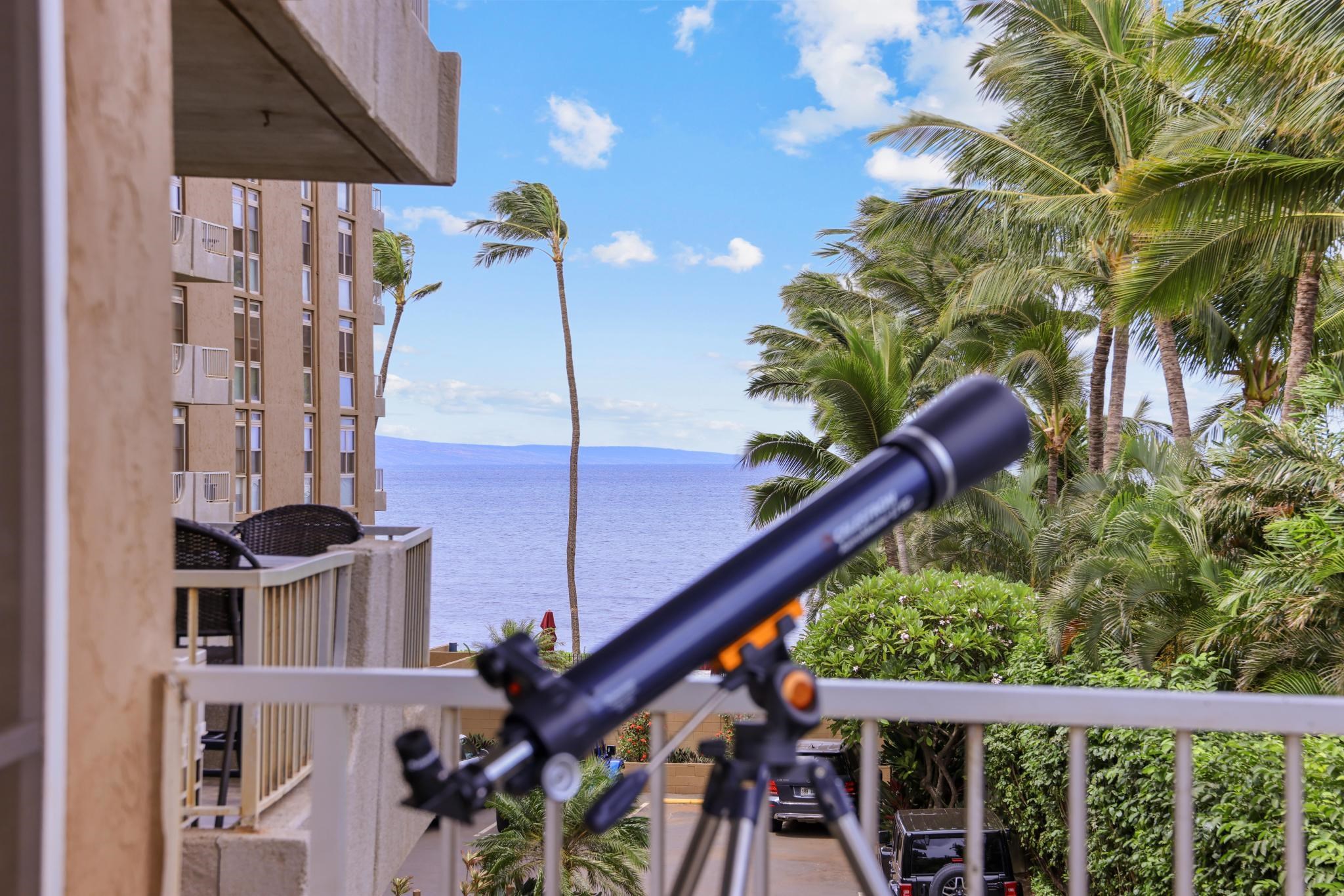 Nani Kai Hale condo # 302, Kihei, Hawaii - photo 29 of 38