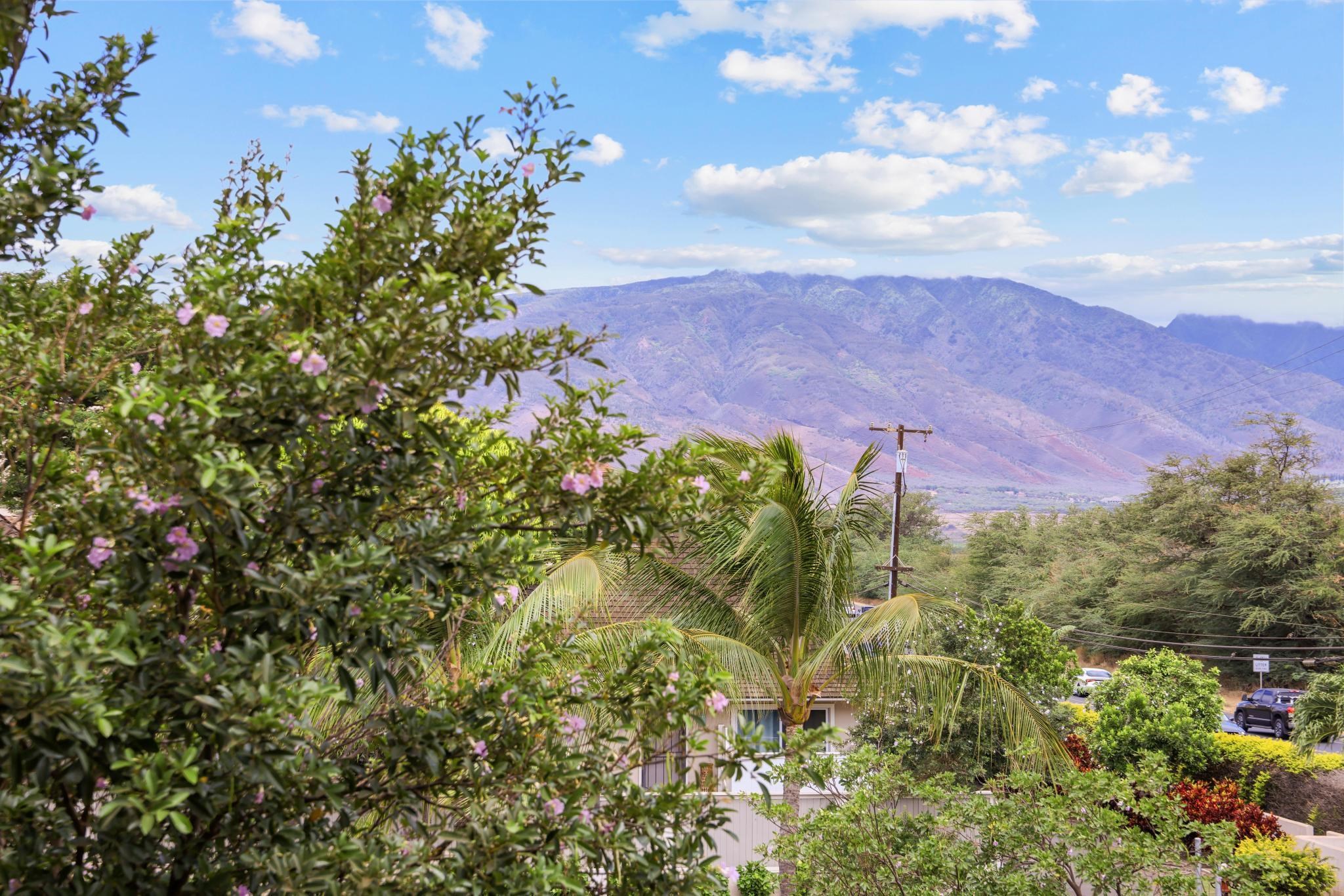 Nani Kai Hale condo # 302, Kihei, Hawaii - photo 30 of 38