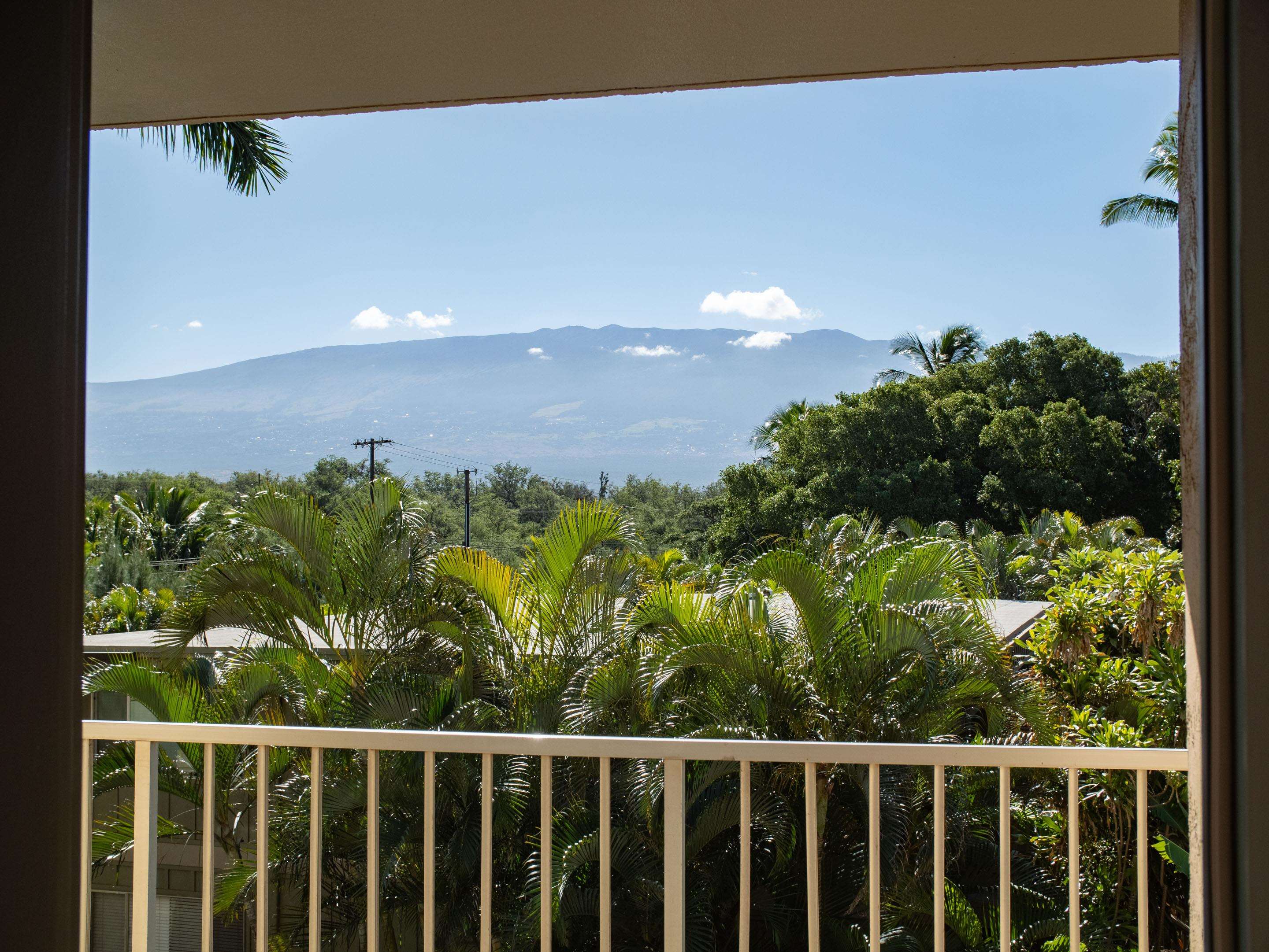 Nani Kai Hale condo # 305, Kihei, Hawaii - photo 19 of 34