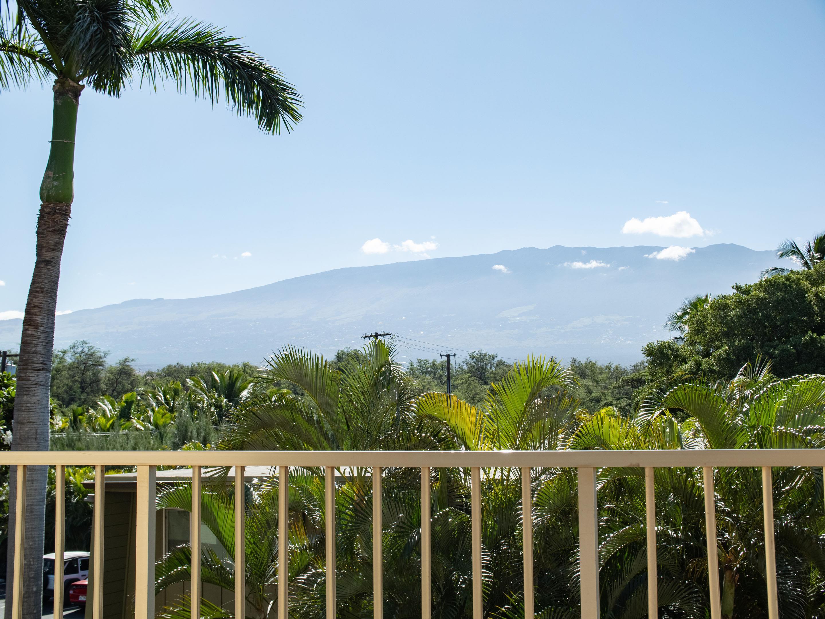 Nani Kai Hale condo # 305, Kihei, Hawaii - photo 20 of 34